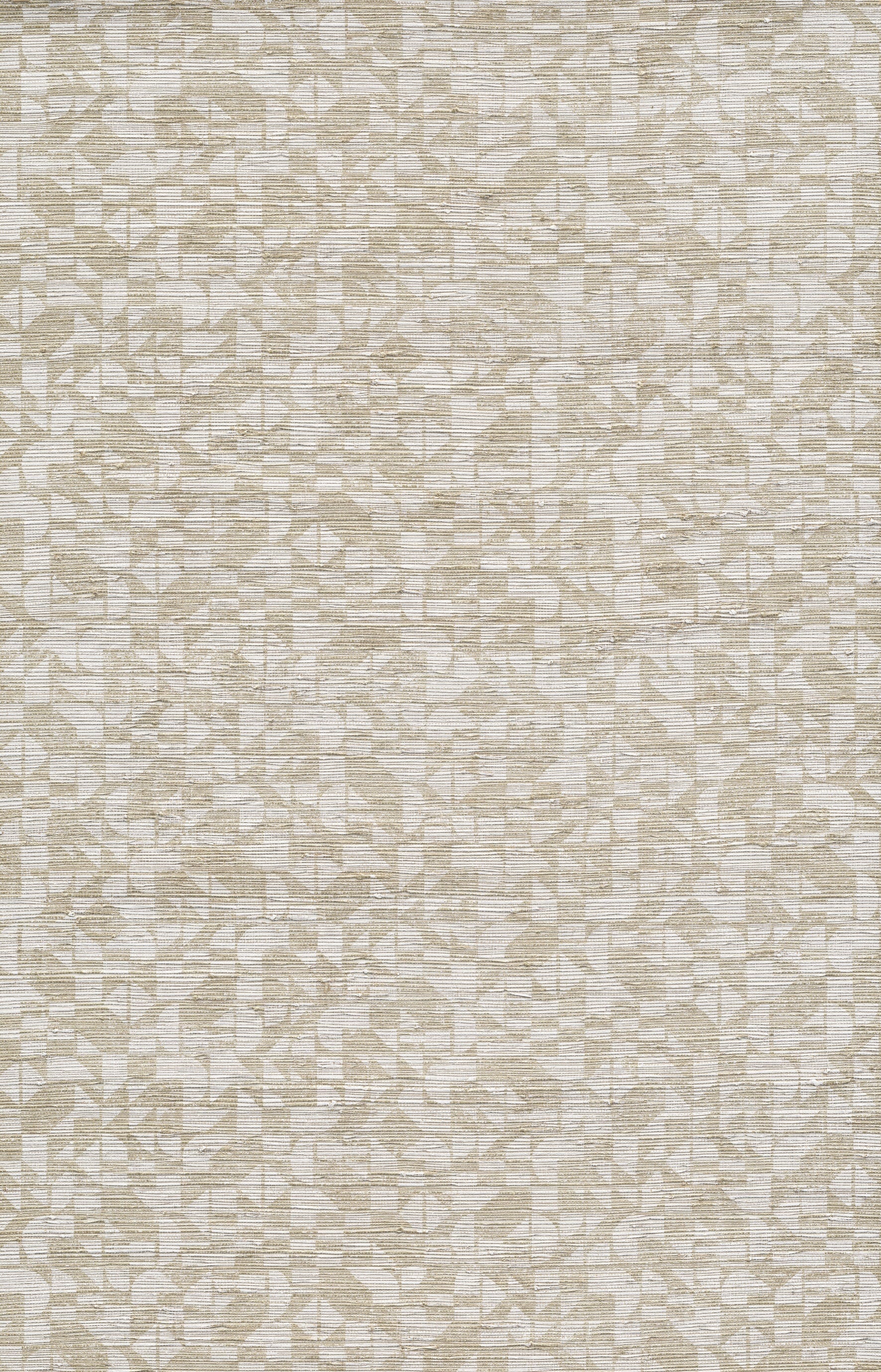 CYPERUS - Shell White