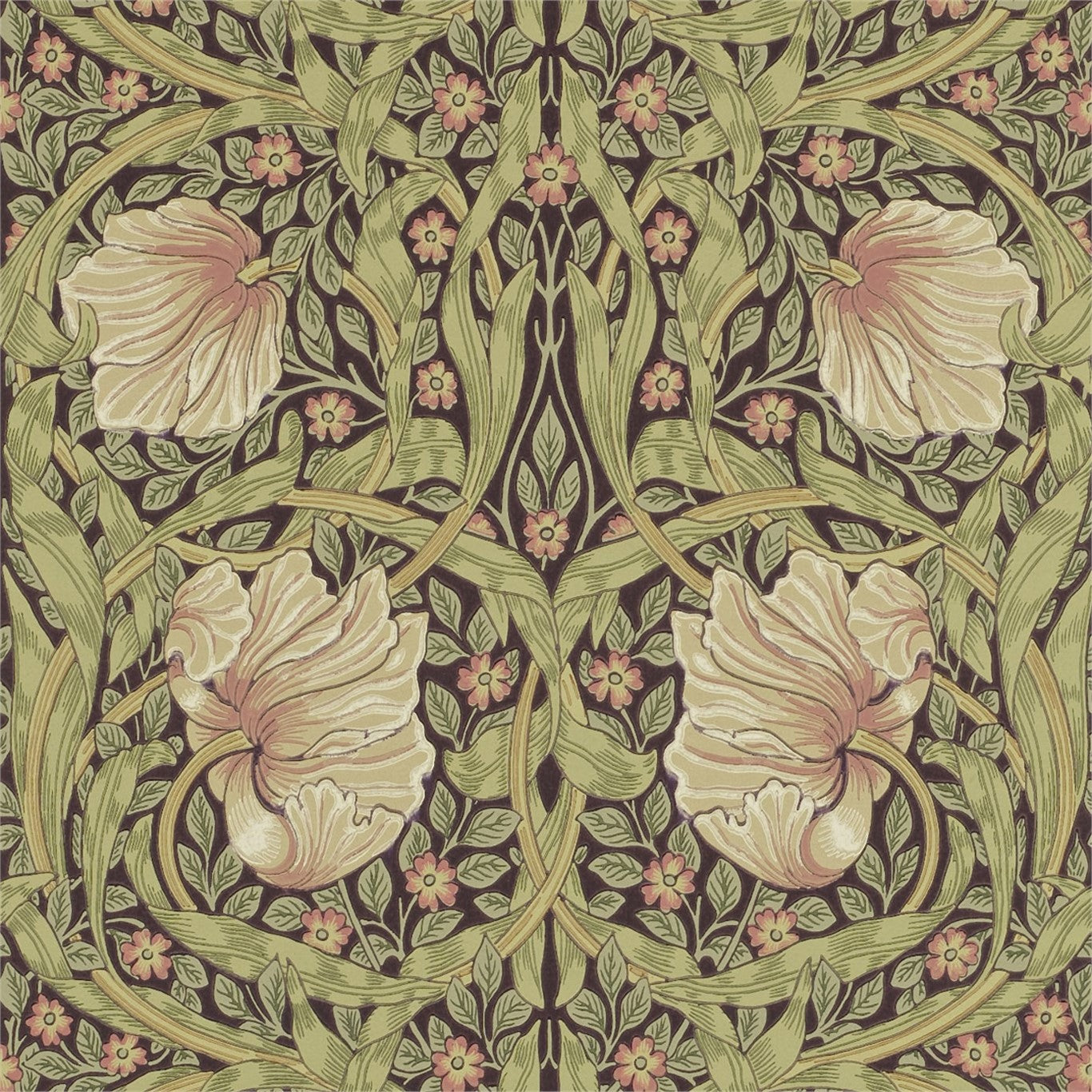 Pimpernel - Bullrush/Russet