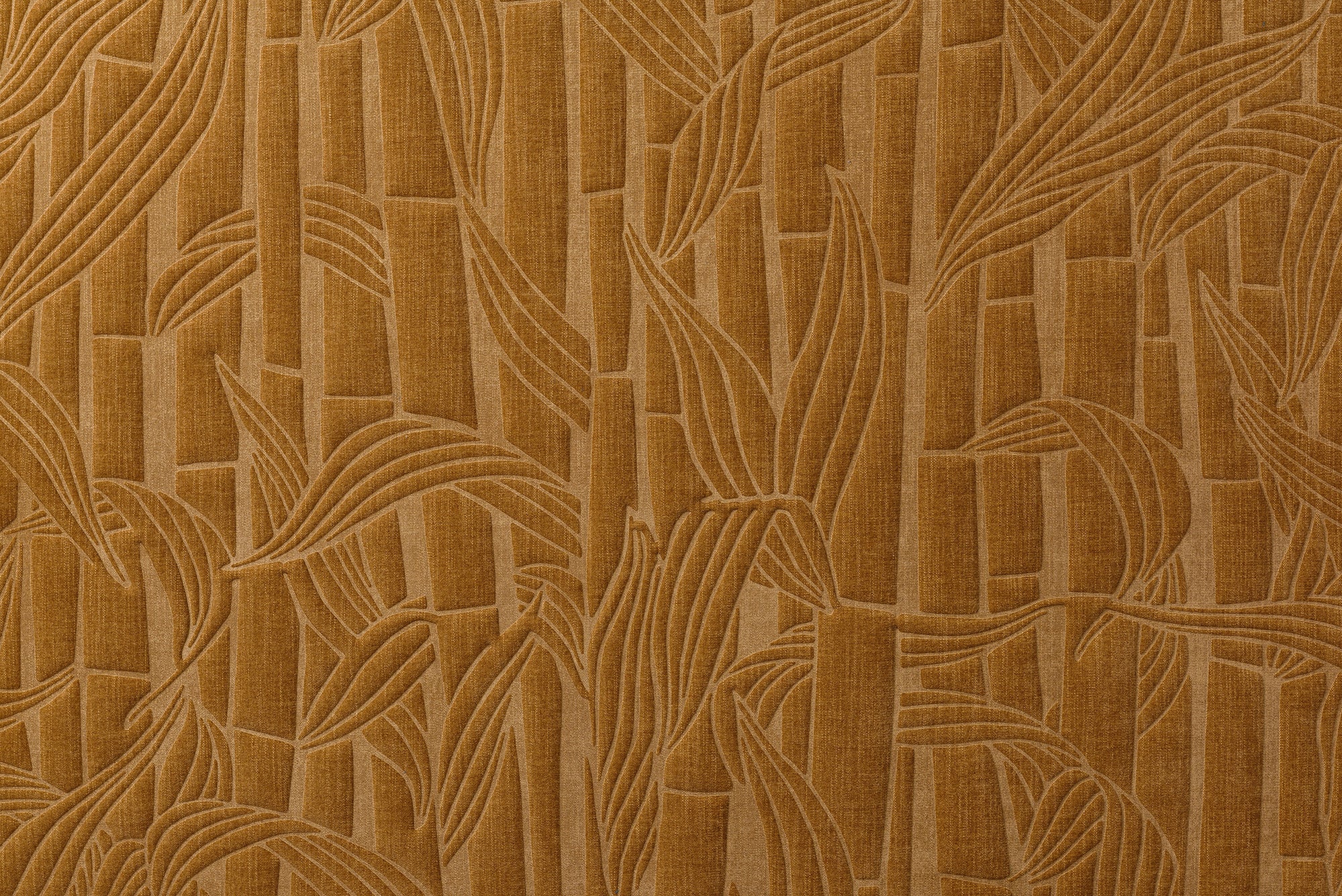 Bambusa - Bronze