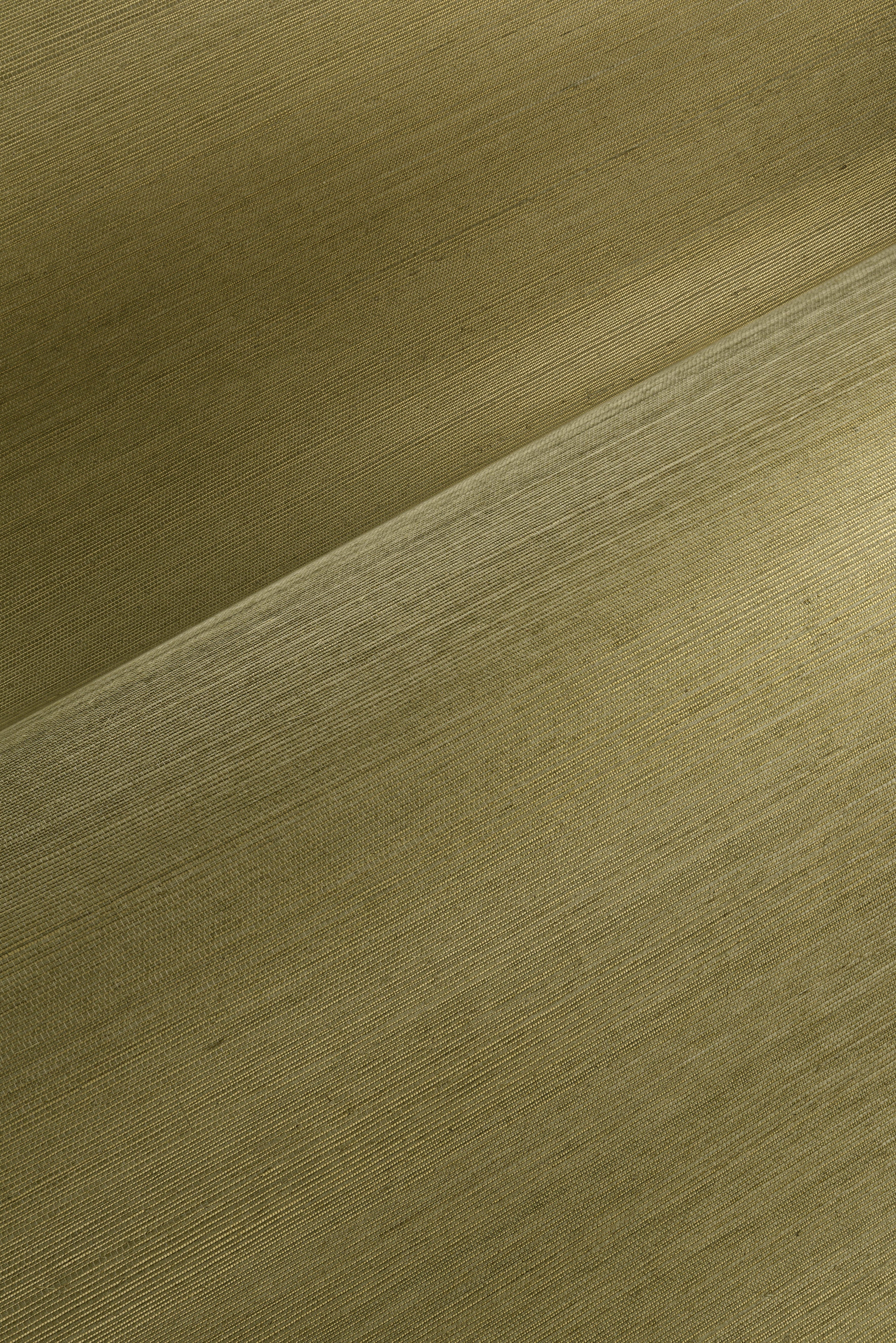 Line - Gold Olive