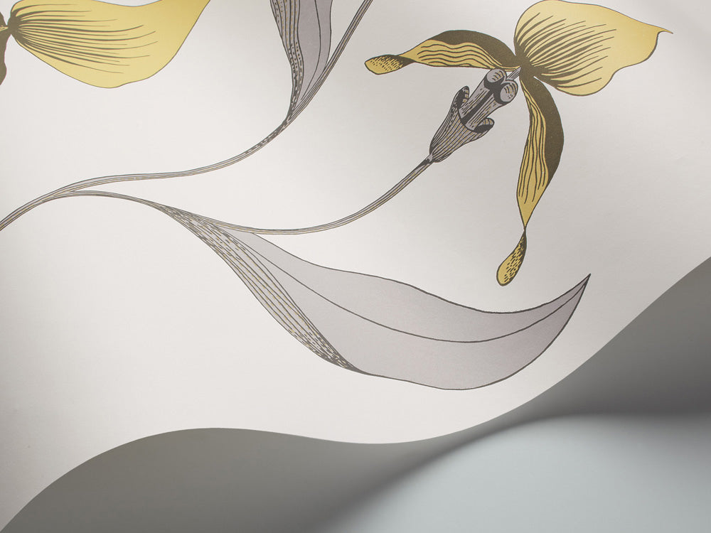 Orchid - Lemon & Heath Grey