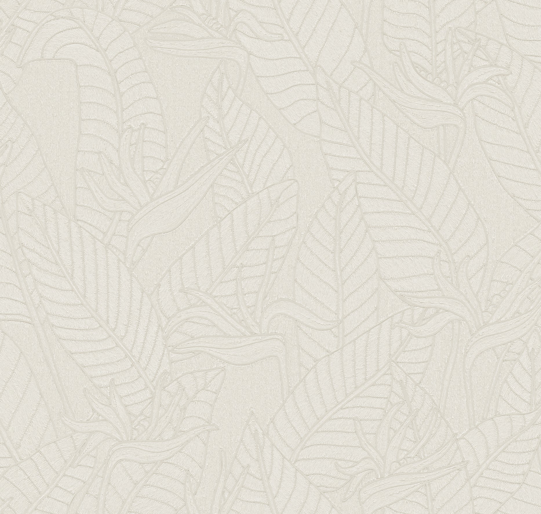 STRELITZIA - Alabaster