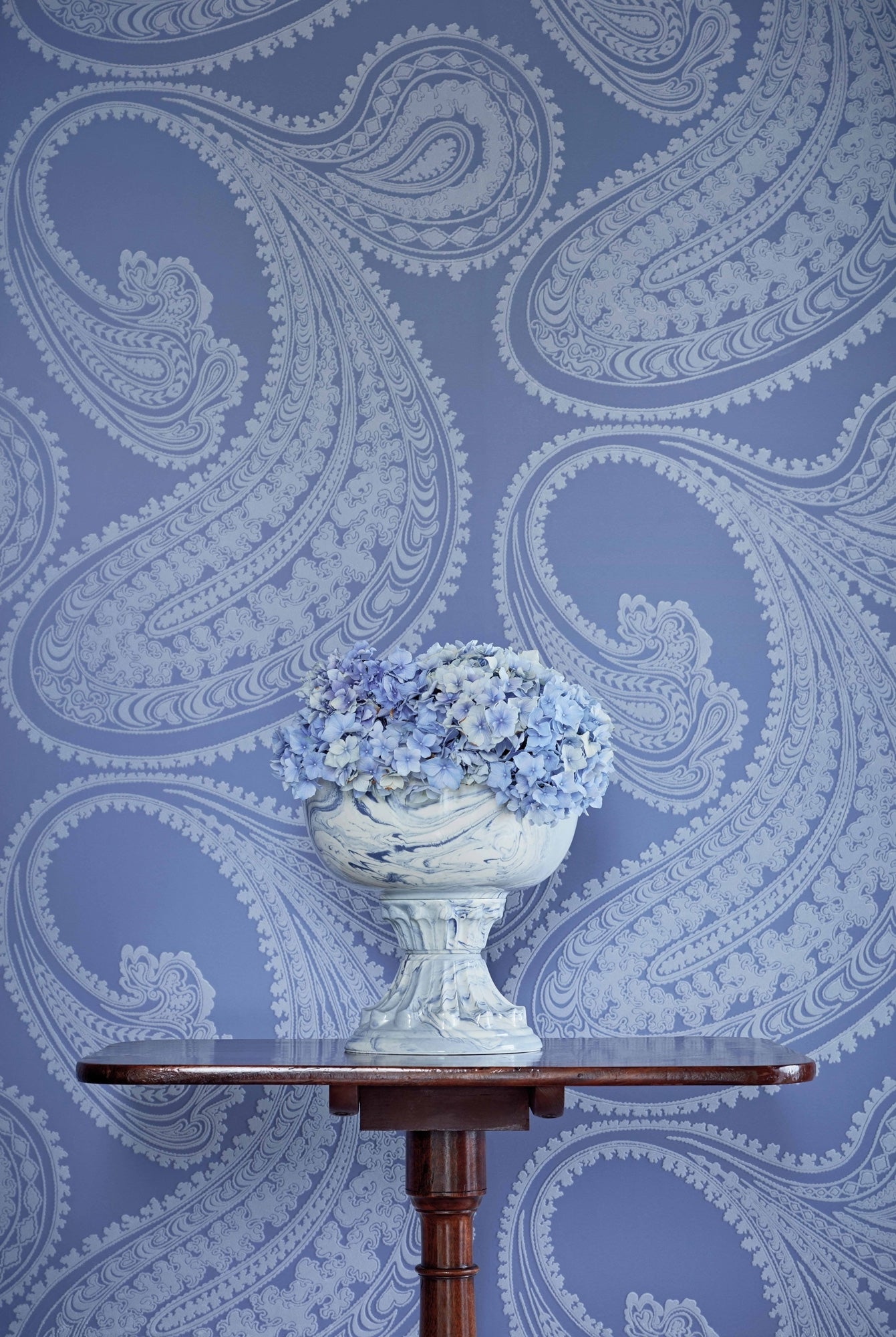Rajapur Flock - Hyacint & White