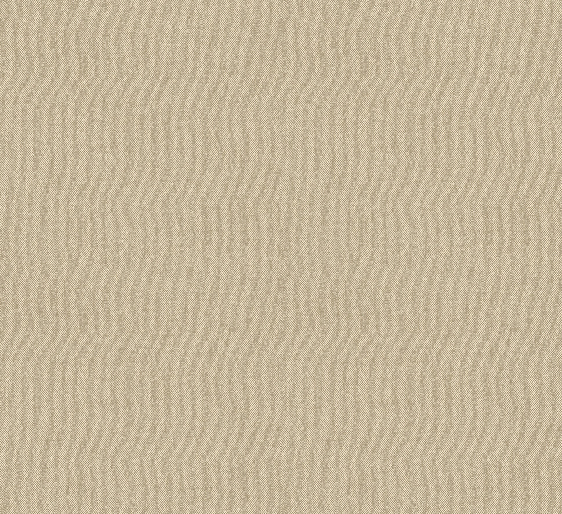 Lin - Pierre de France