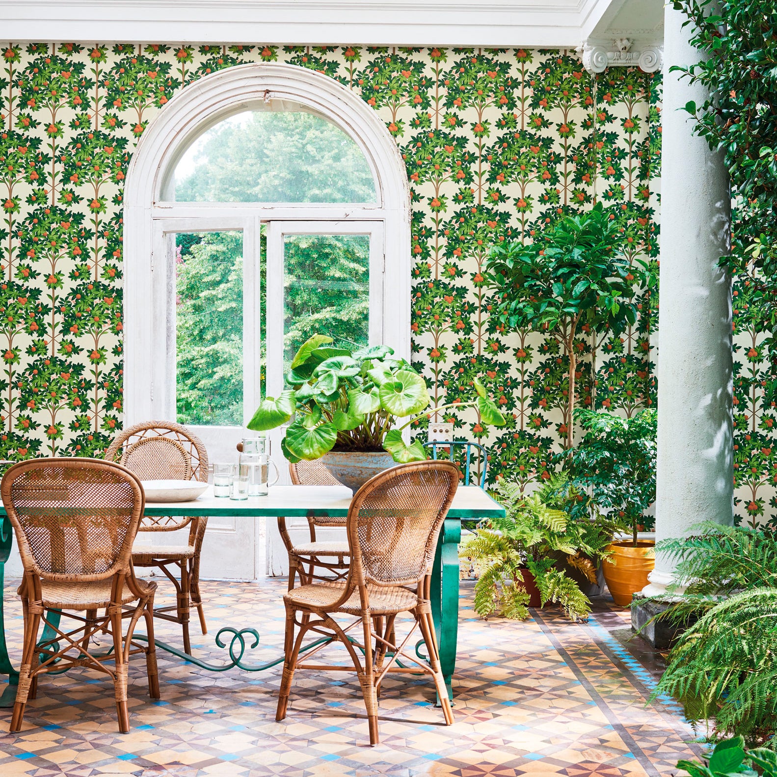 Orange Blossom - Orange & Spring Green