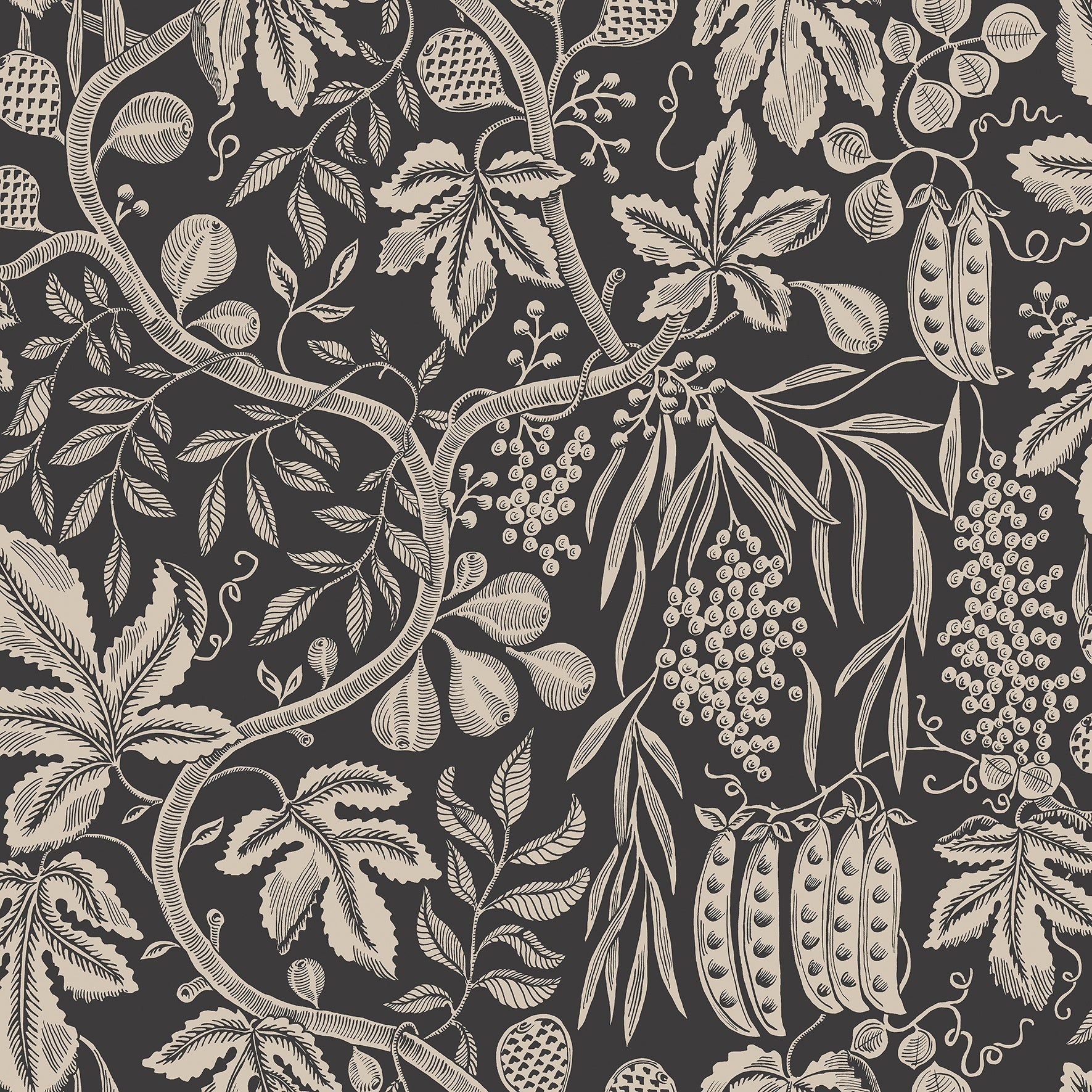 Fig Garden - Charcoal