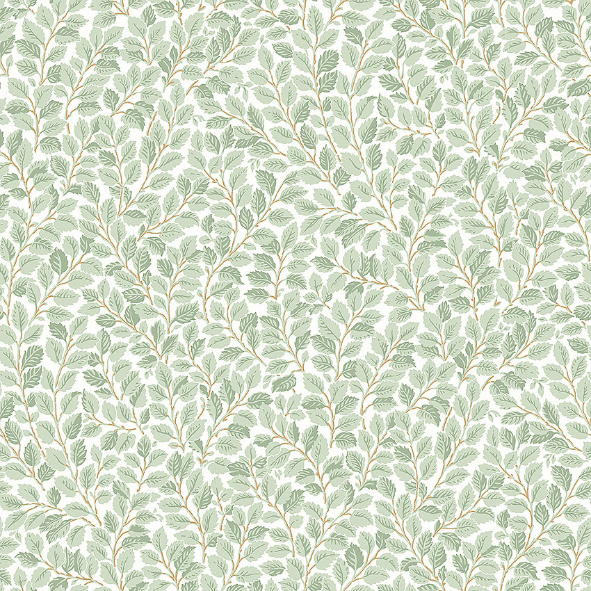 Hazel - Light Green