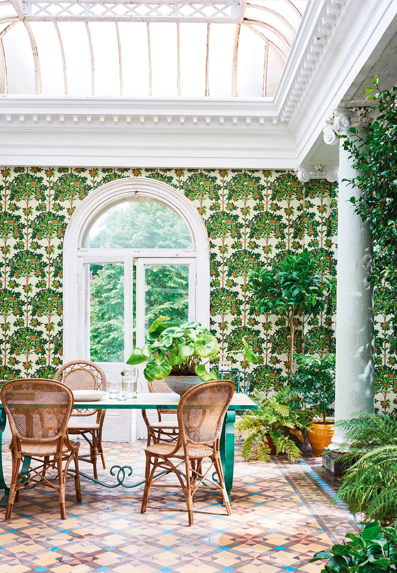 Orange Blossom - Orange & Spring Green