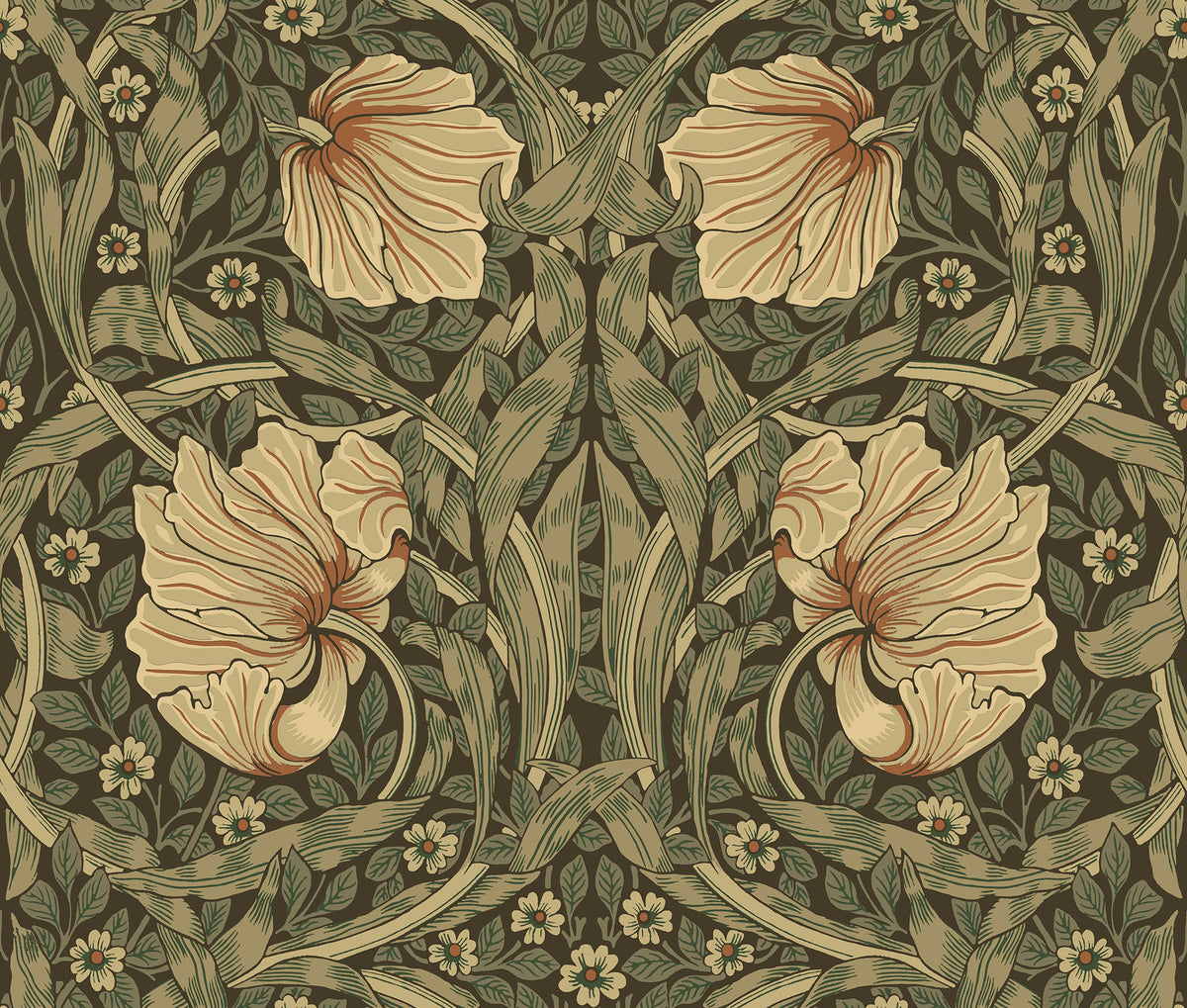Pimpernel - Brown