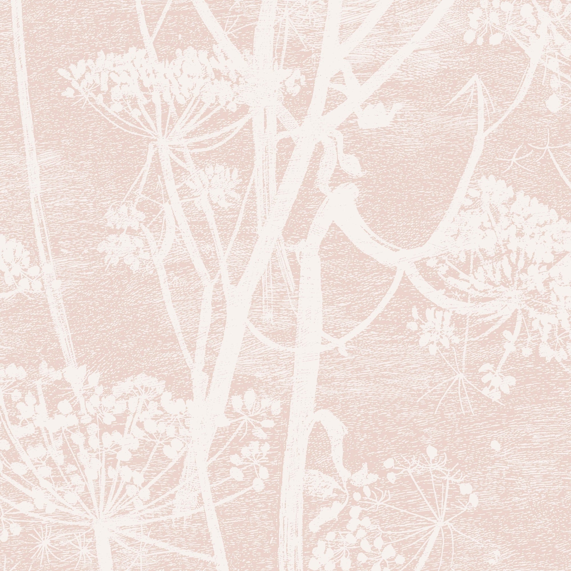 Cow Parsley - Ballet Slipper
