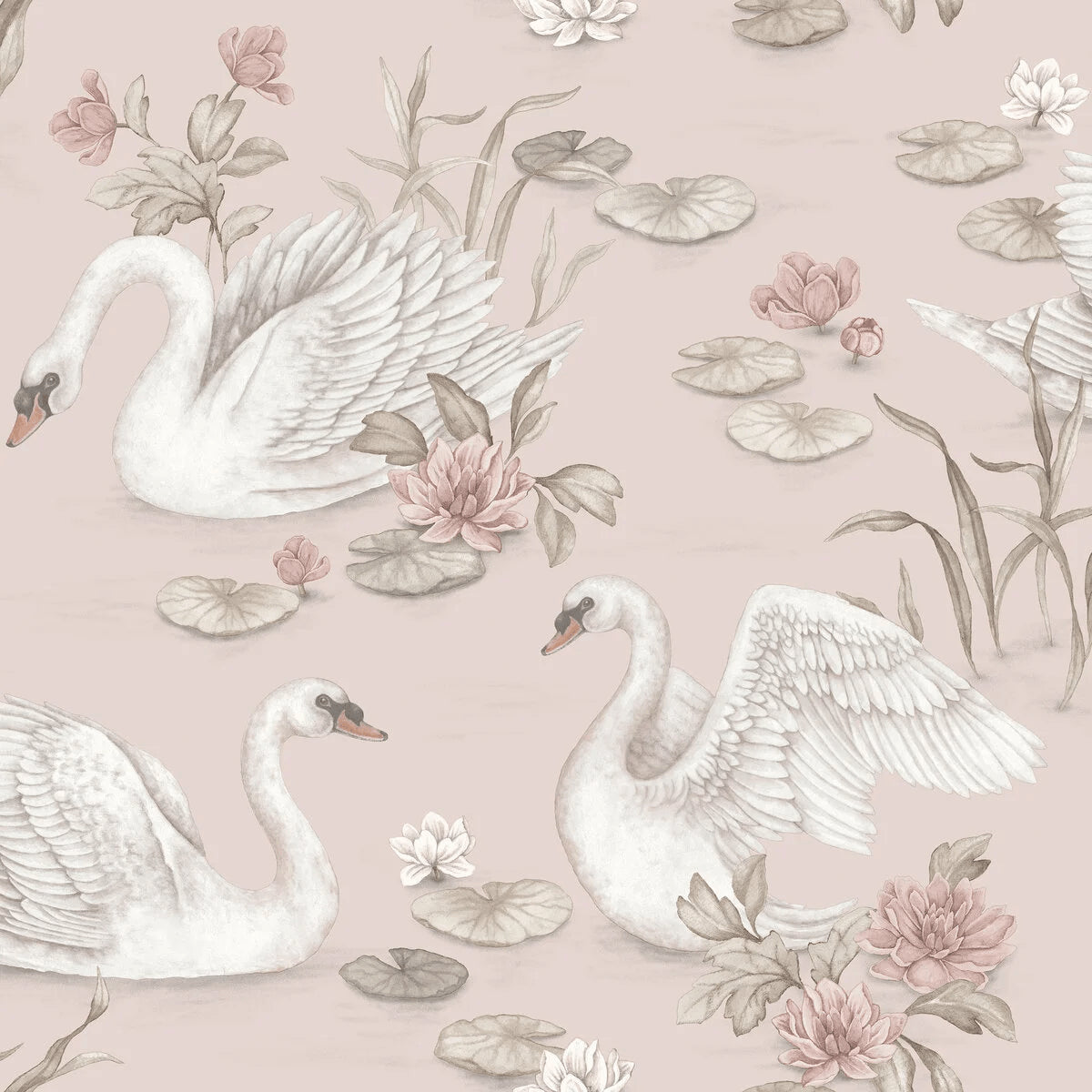 Lily Swan - Rose