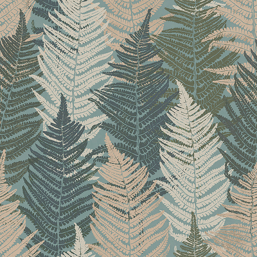 Fern Forest - Nature
