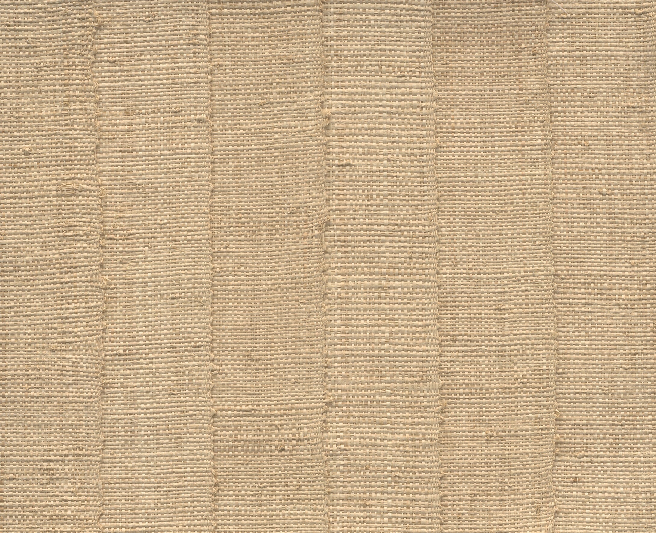 FARINI - Naturel