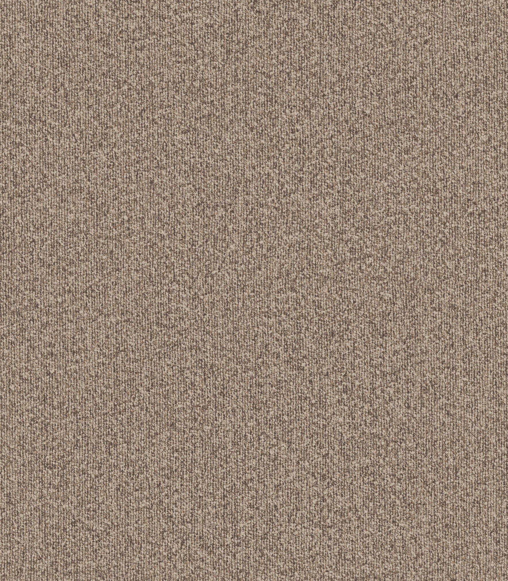 MONTAGNA - Cocoa