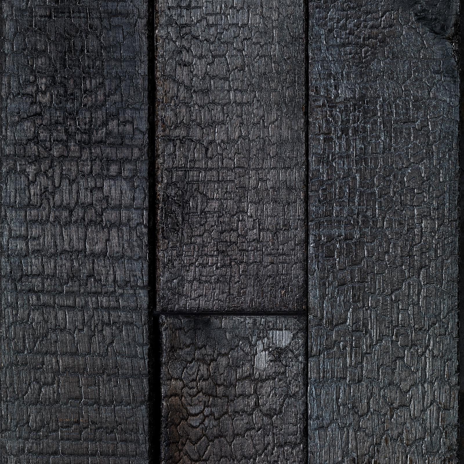 Maarten Baas - Burnt Wood