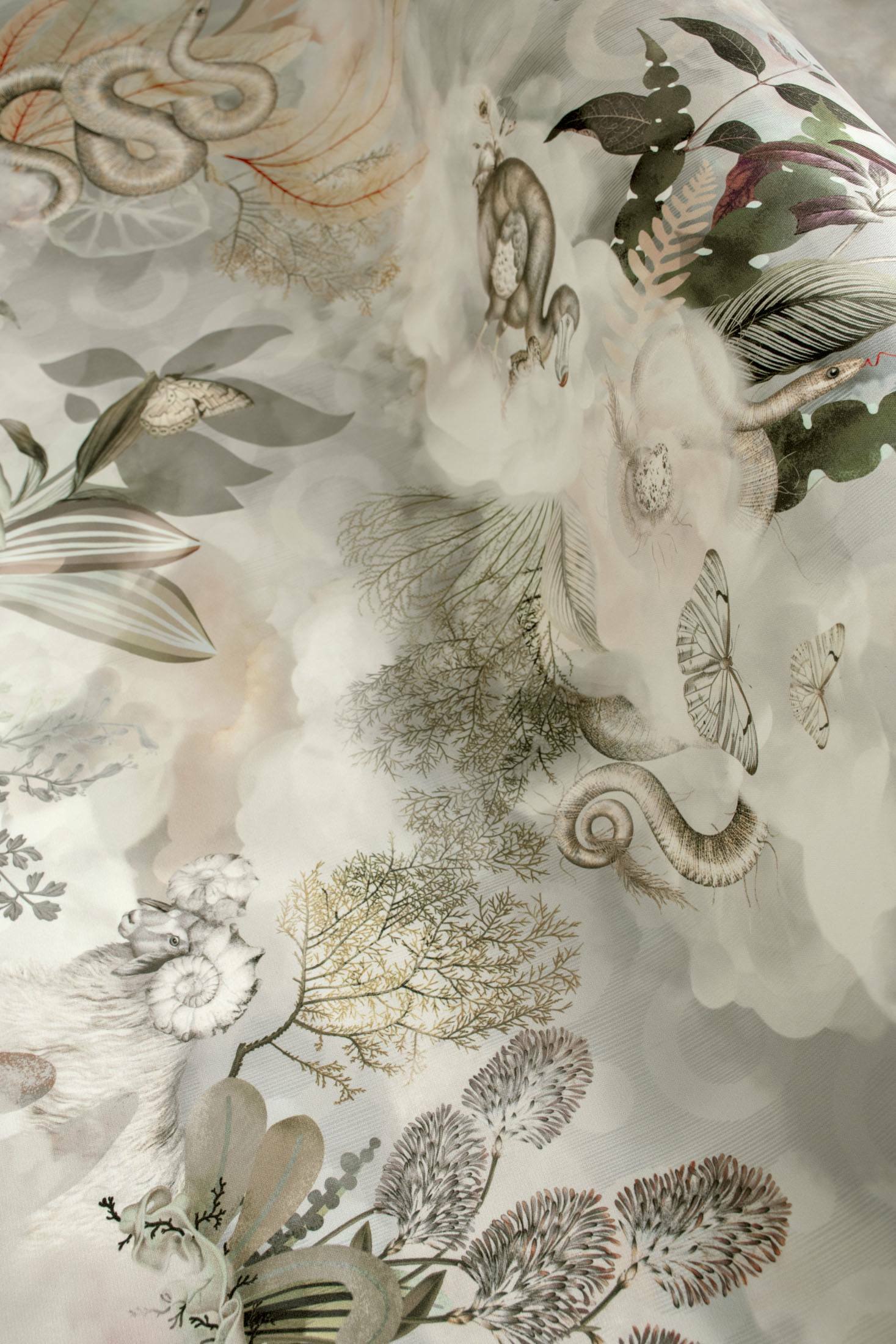 Memento Moooi Medley - Dawn