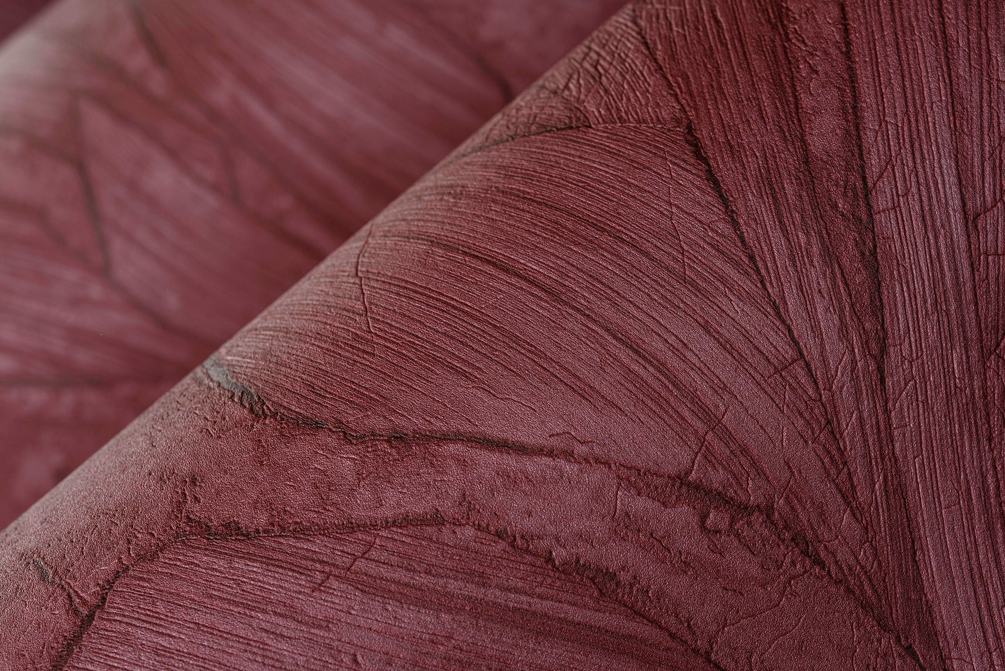 Piante - Indian Red