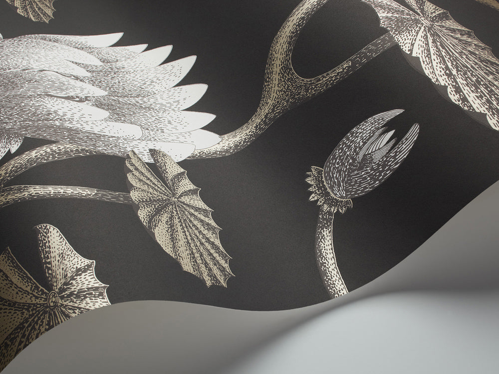 Summer Lily - White & Gilver on Charcoal