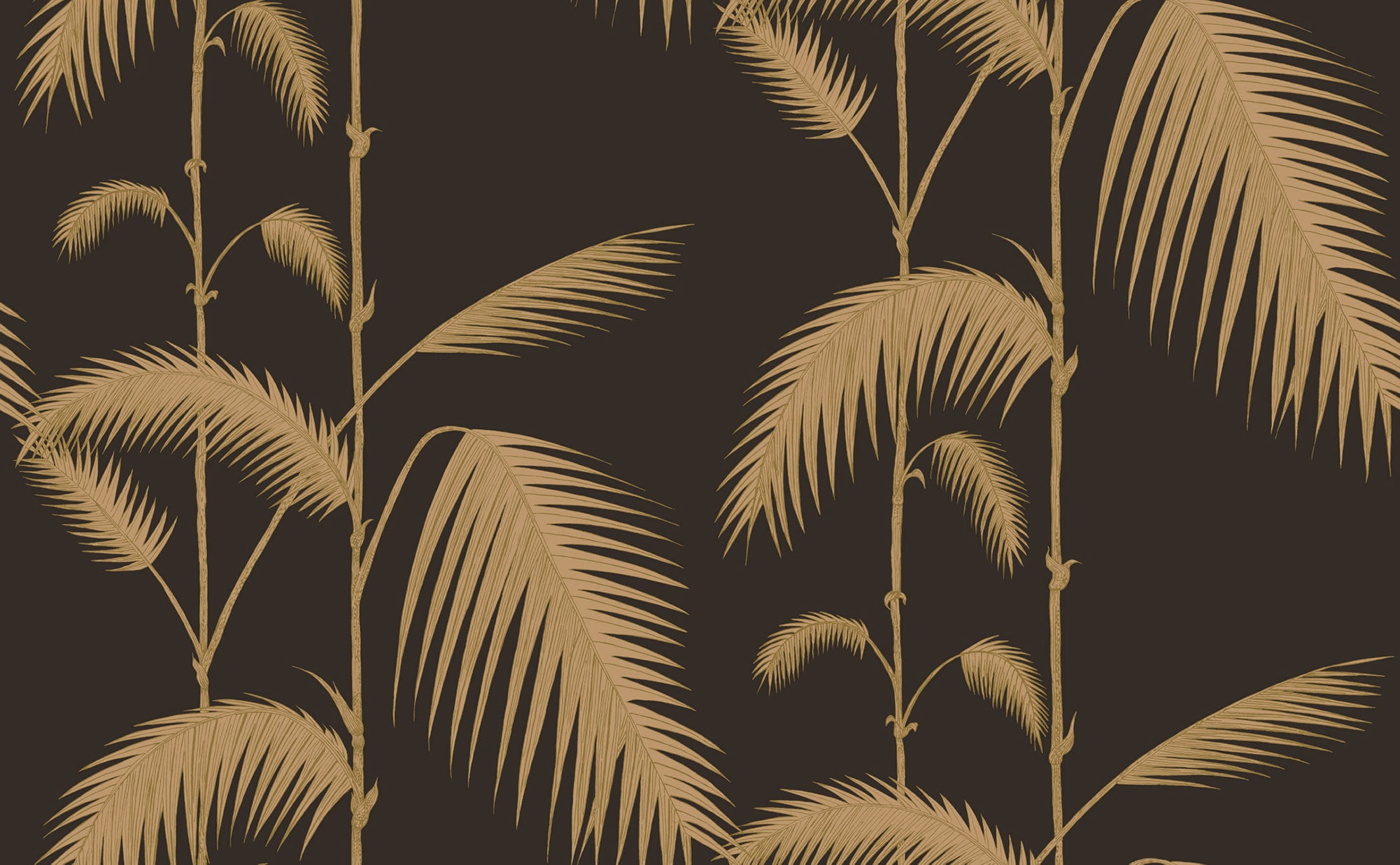 Palm Leaves - Gold on Charcoal