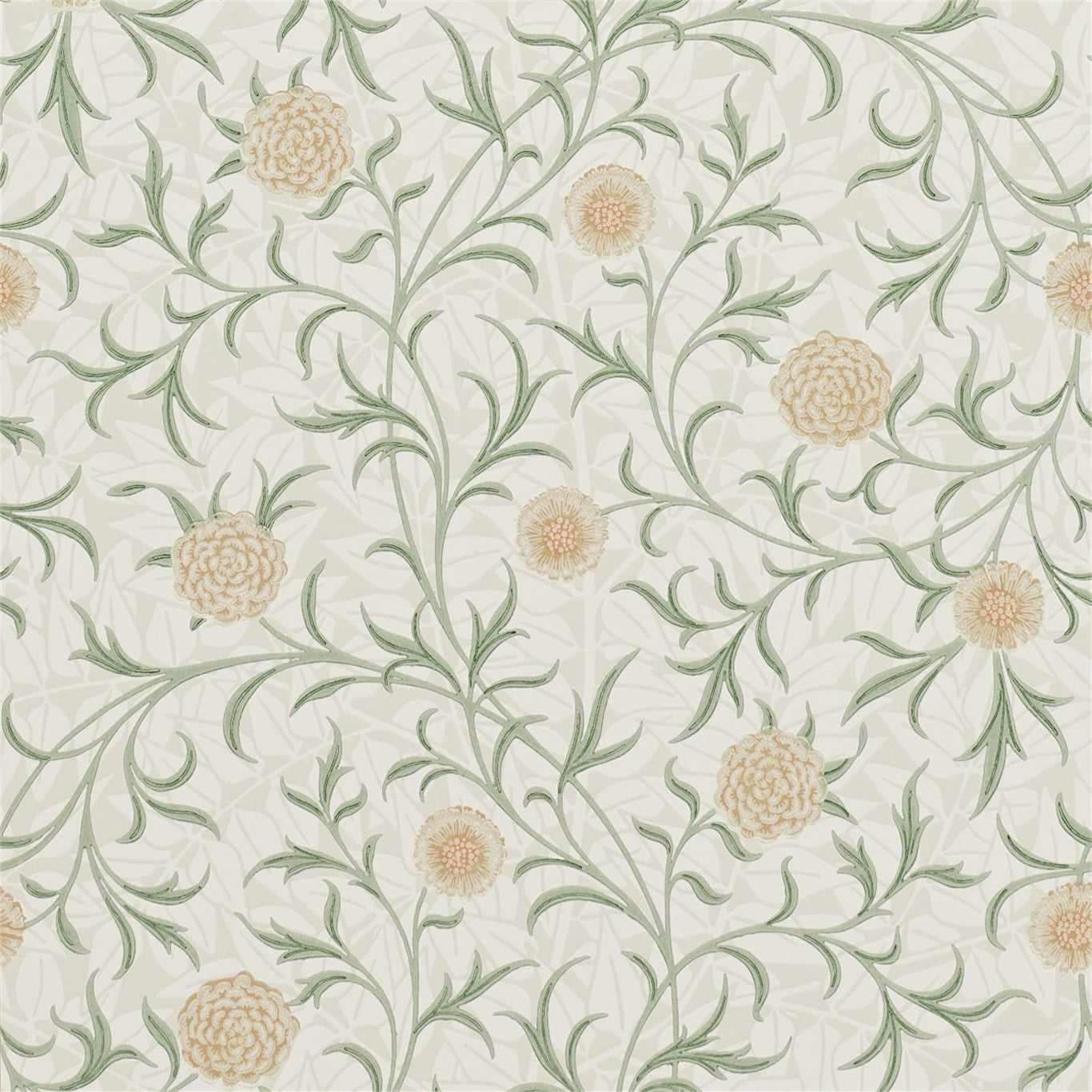 Scroll - Thyme/Pear