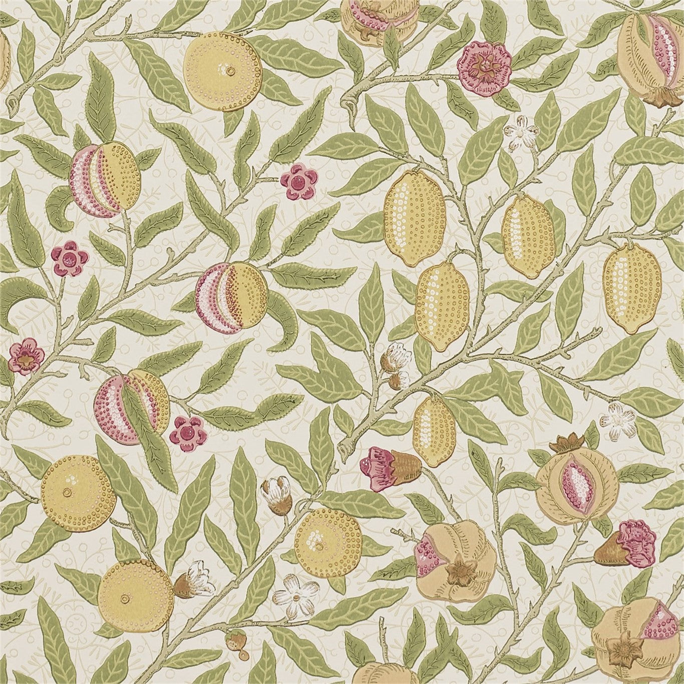 Fruit - Limestone/Artichoke