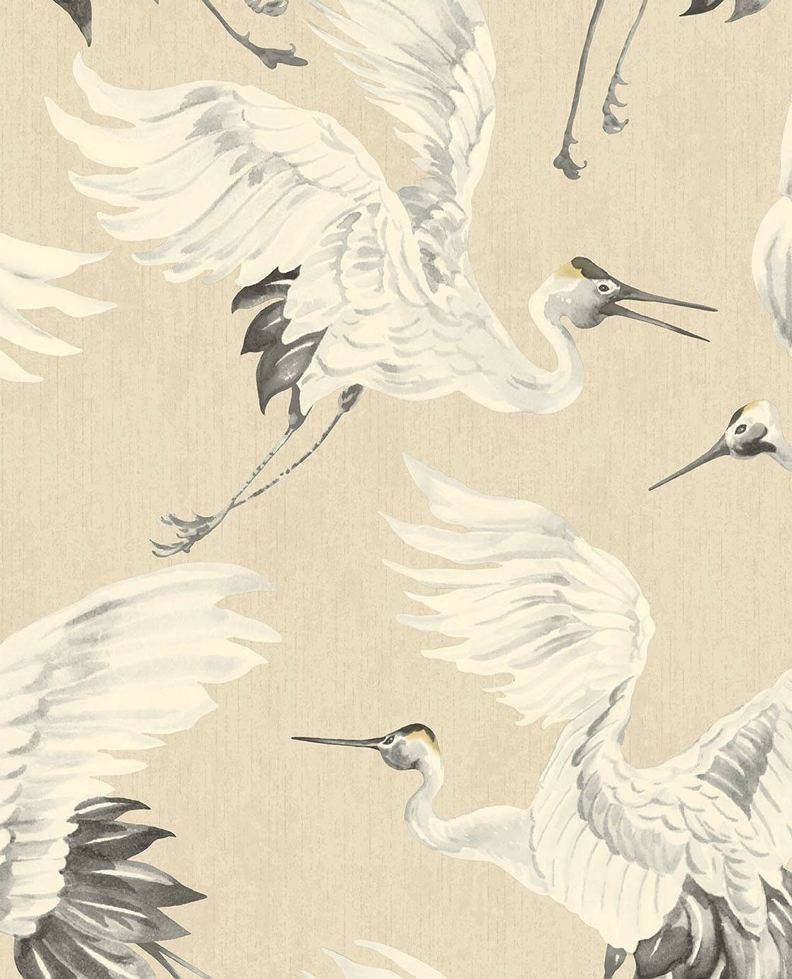 Cranes - Beige