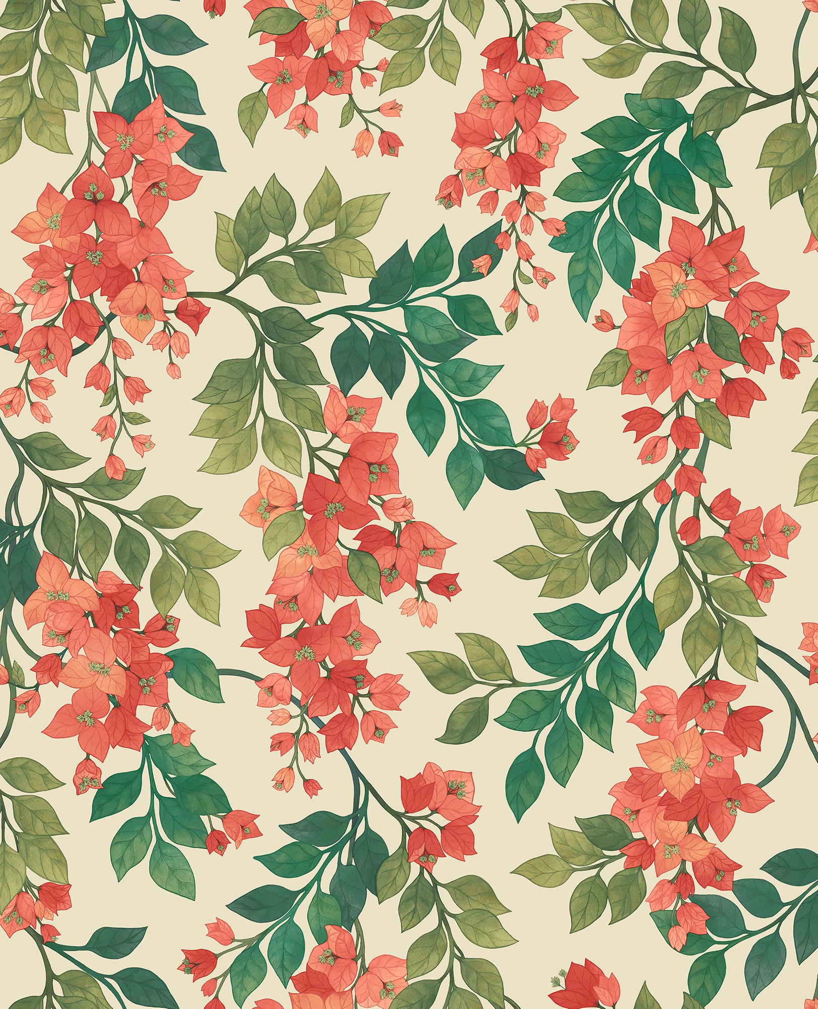 Bougainvillea - Rouge, Olive Green & Emerald