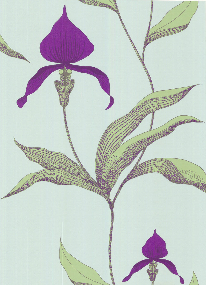Orchid - Purple