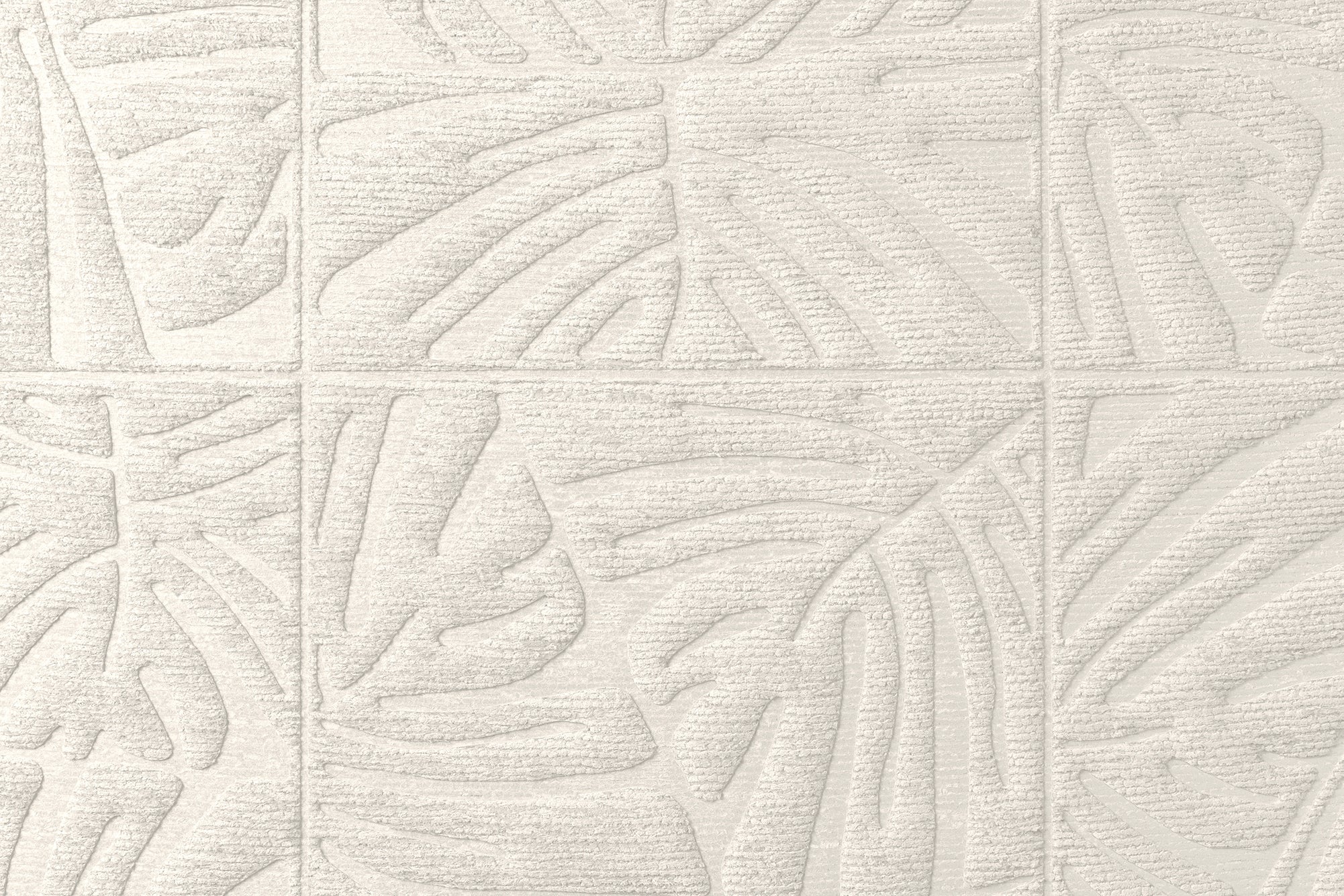Monstera - Bone