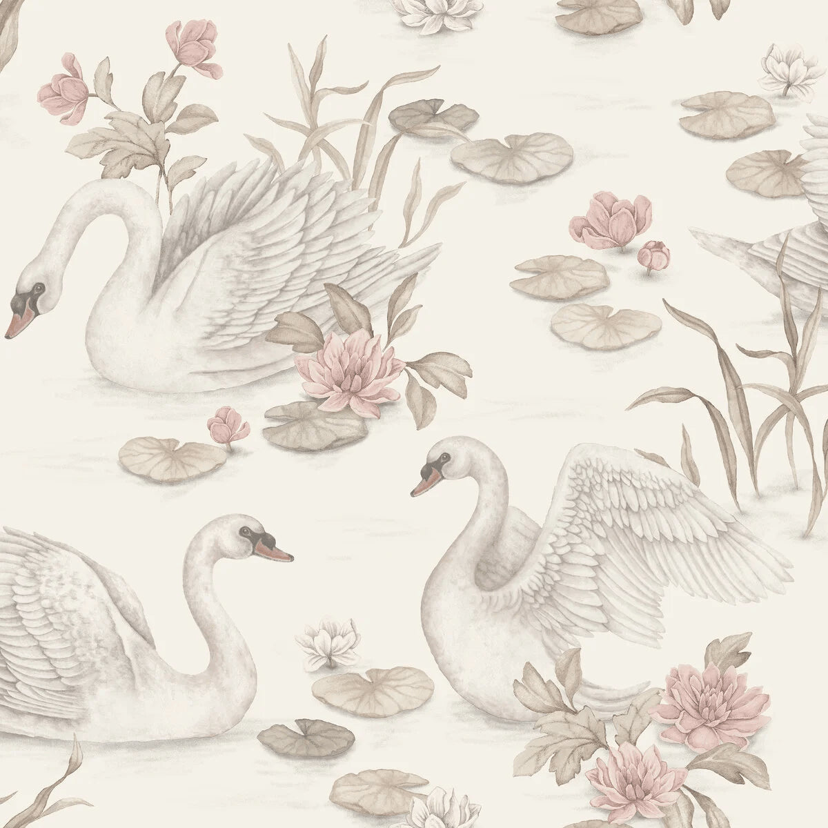 Lily Swan - Warm White & Pink