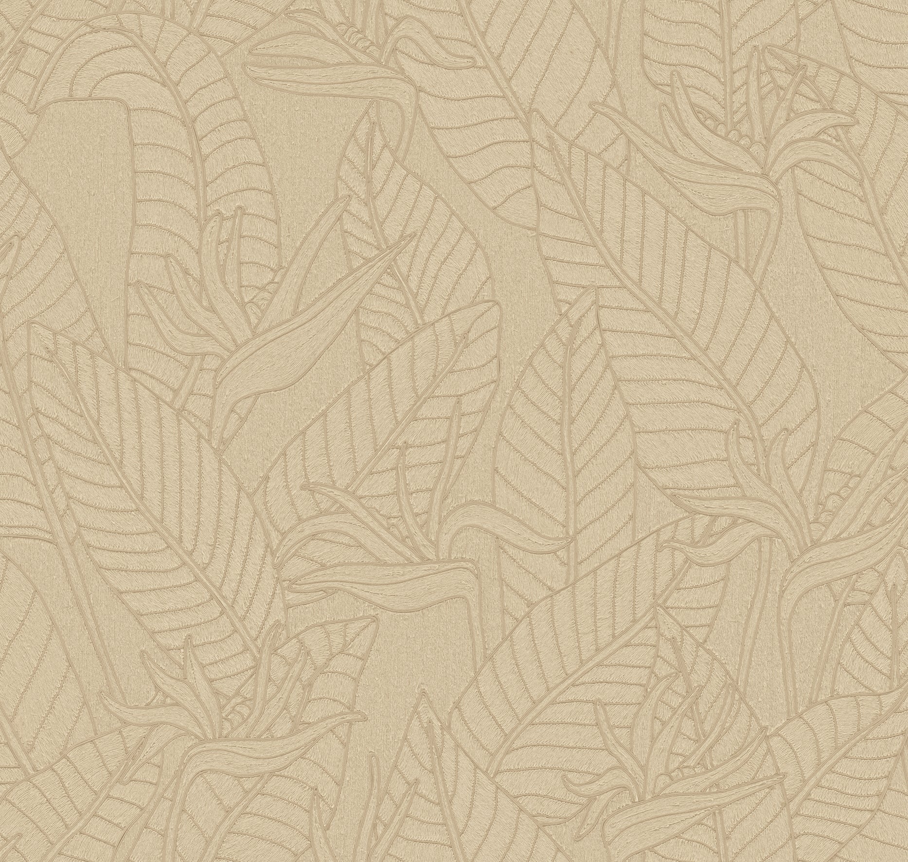 STRELITZIA - Abaca