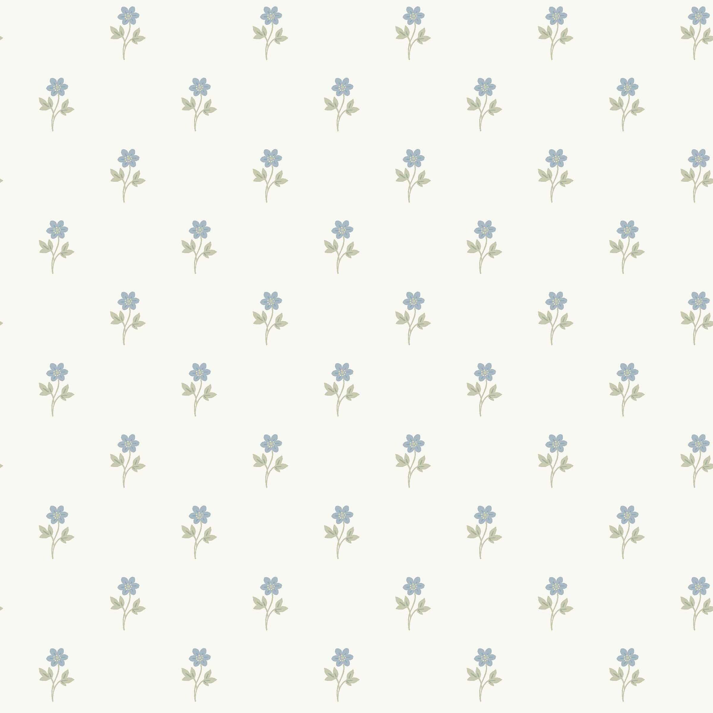 Anemone - White