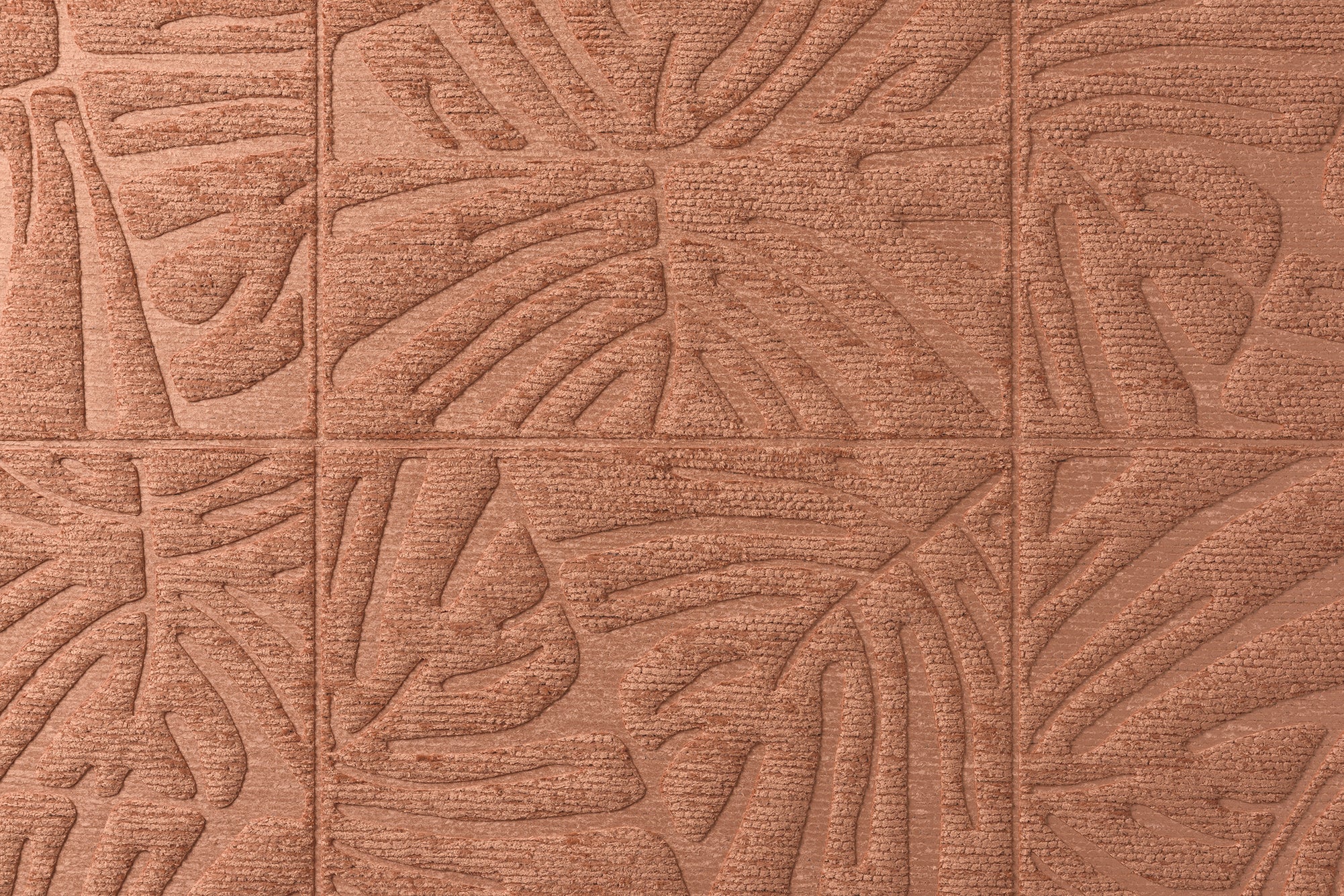 Monstera - Blush
