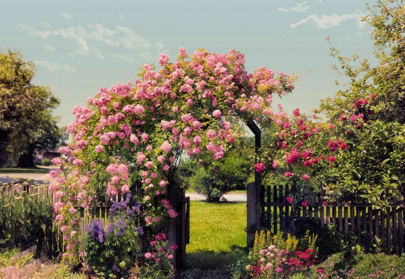 Rose Garden 308-936