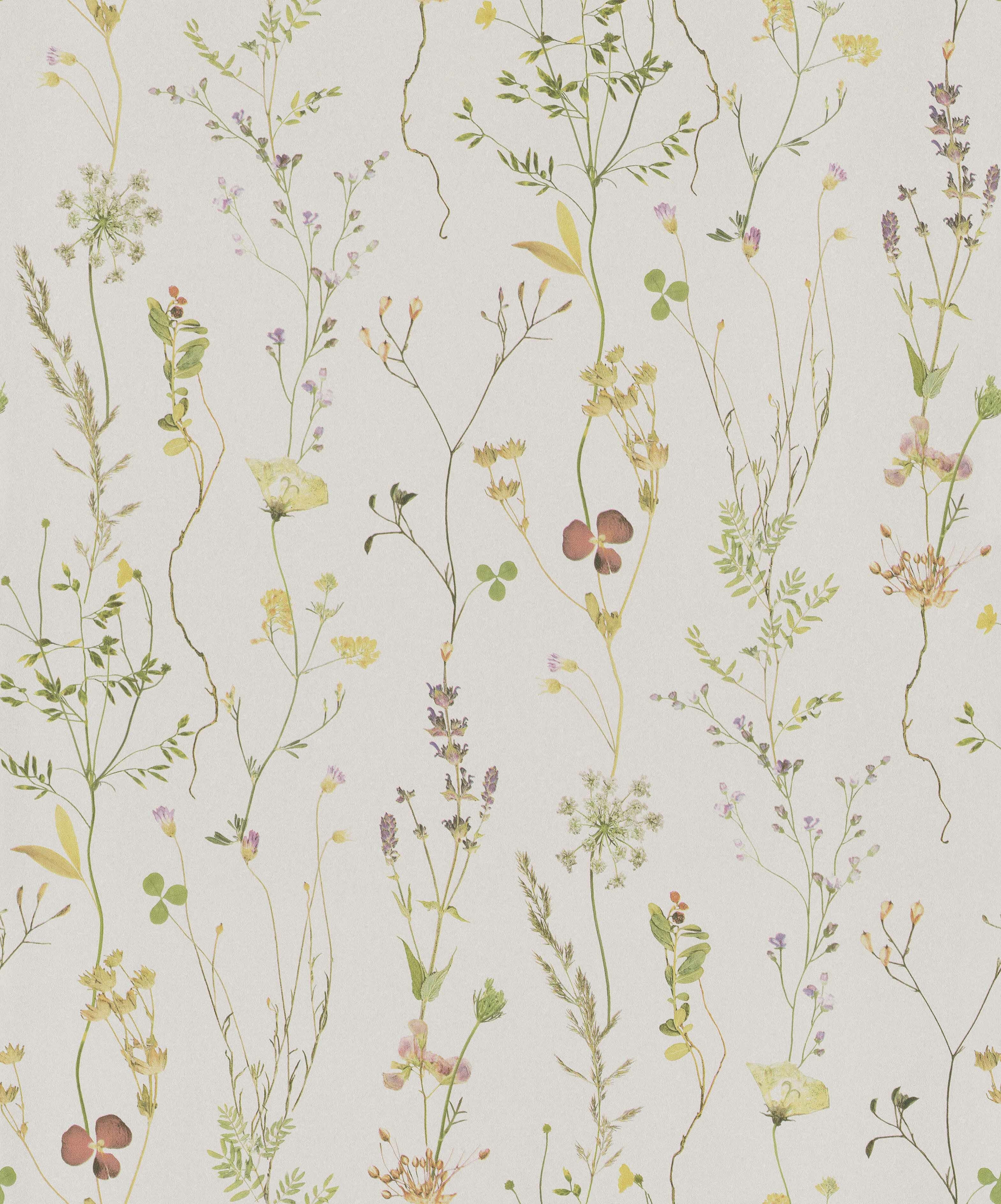 Wild Flower - Multi color