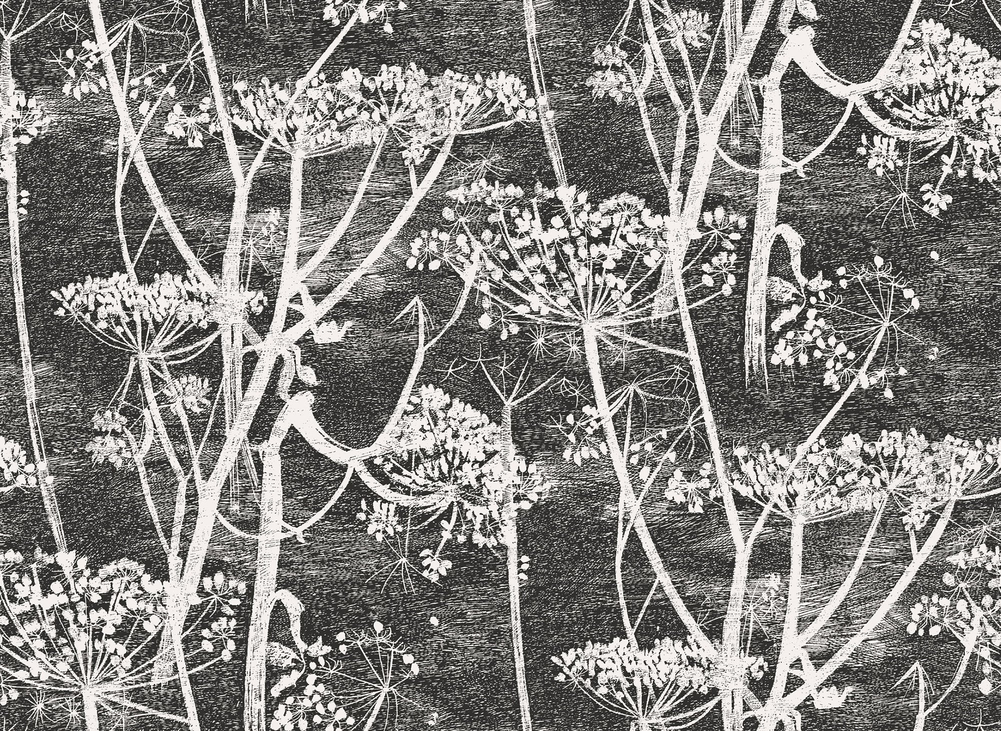 Cow Parsley - Soot & Snow