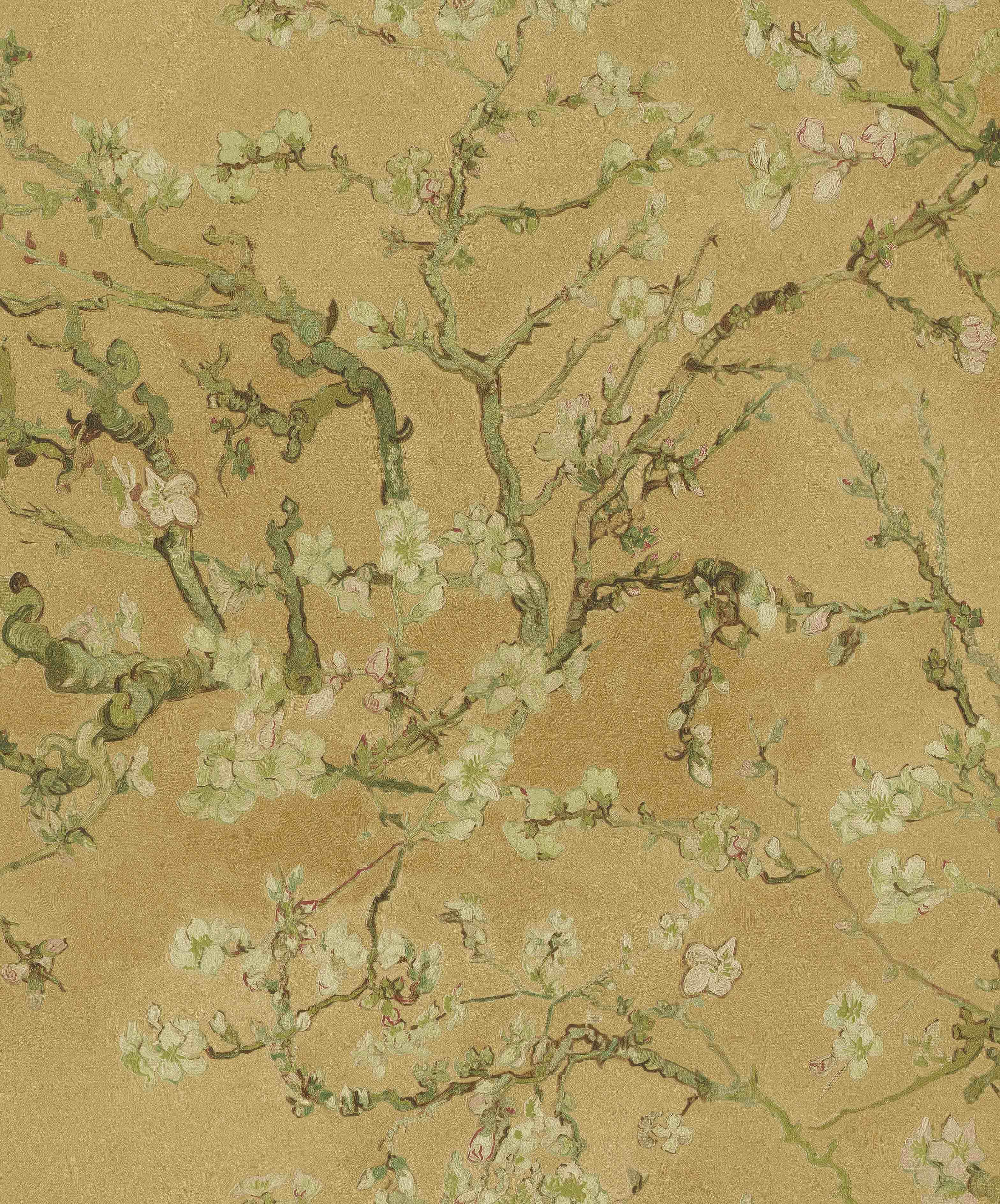 Almond Blossom - Ocre