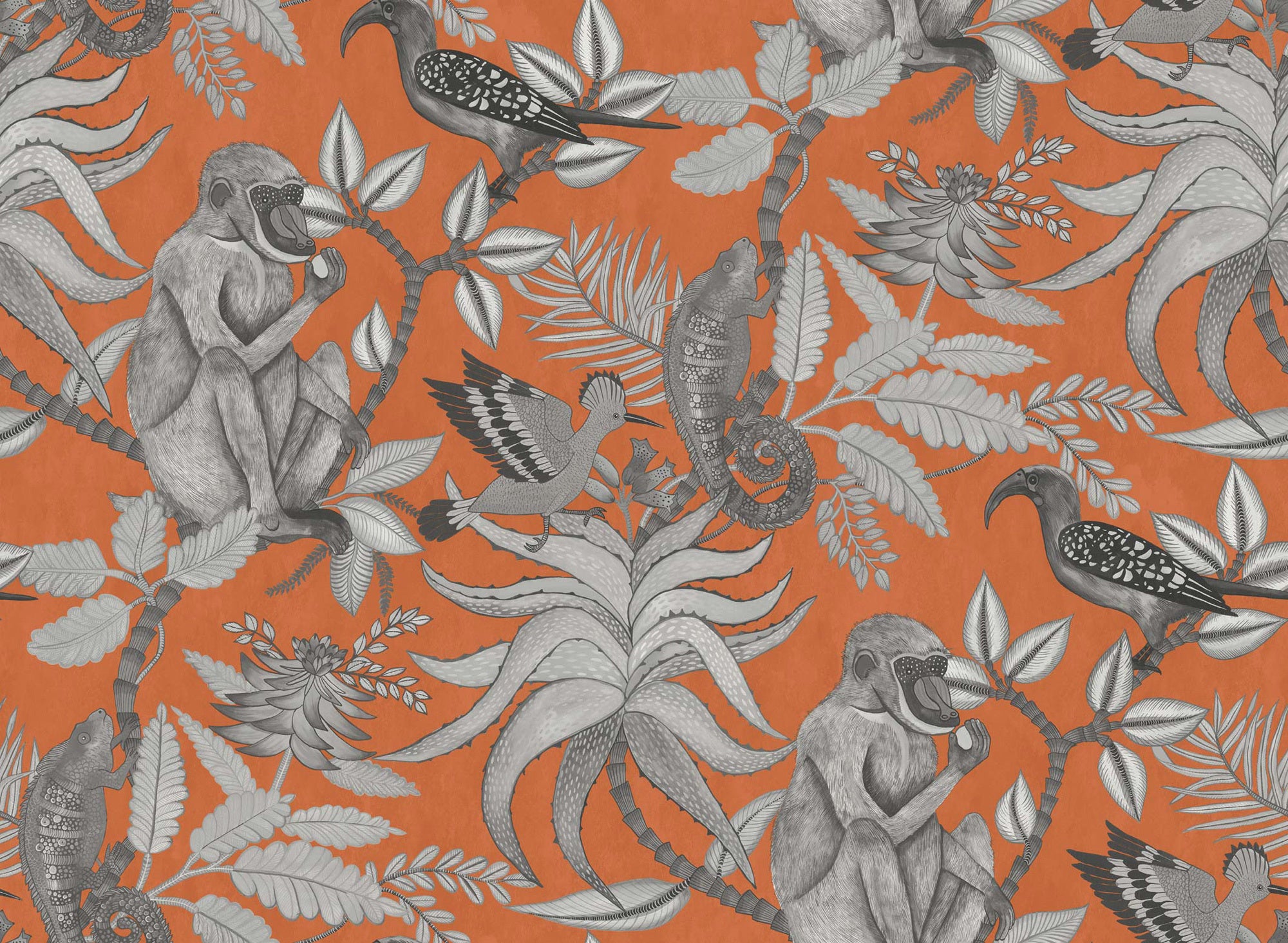 Savuti - Orange