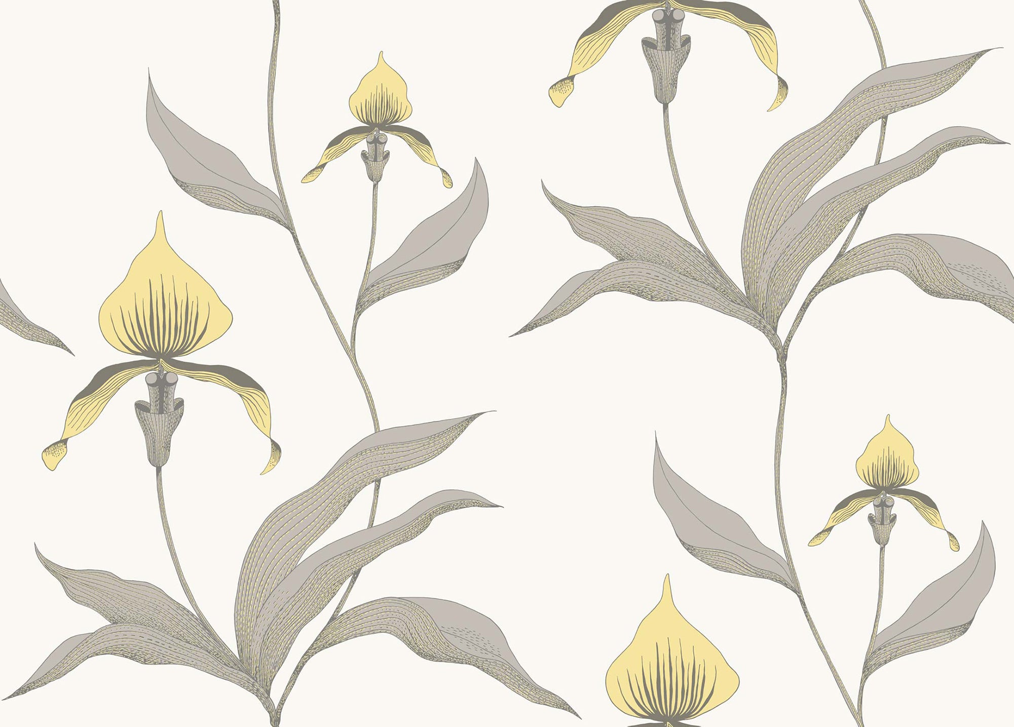Orchid - Lemon & Heath Grey