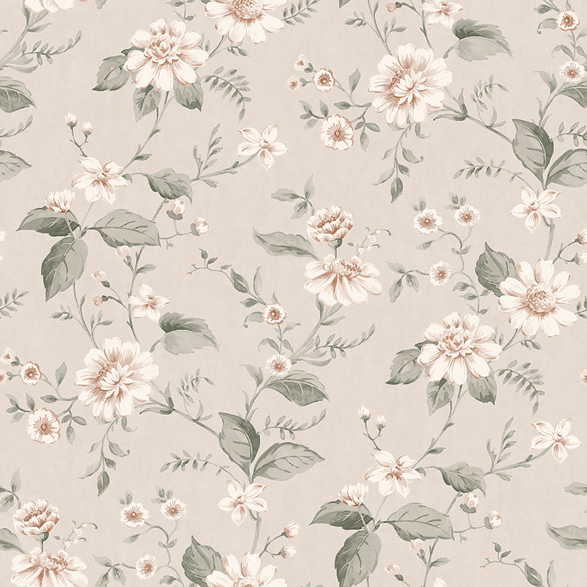 Laura’s Cottage - Apricot