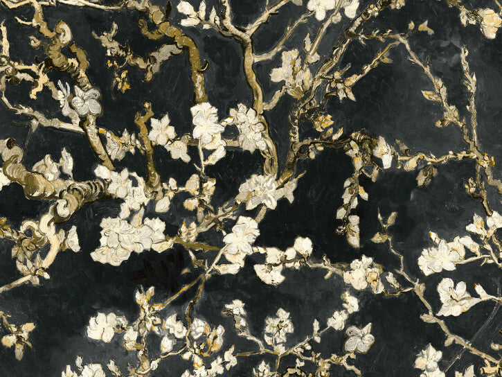 Van Gogh - Almond Blossom - Black