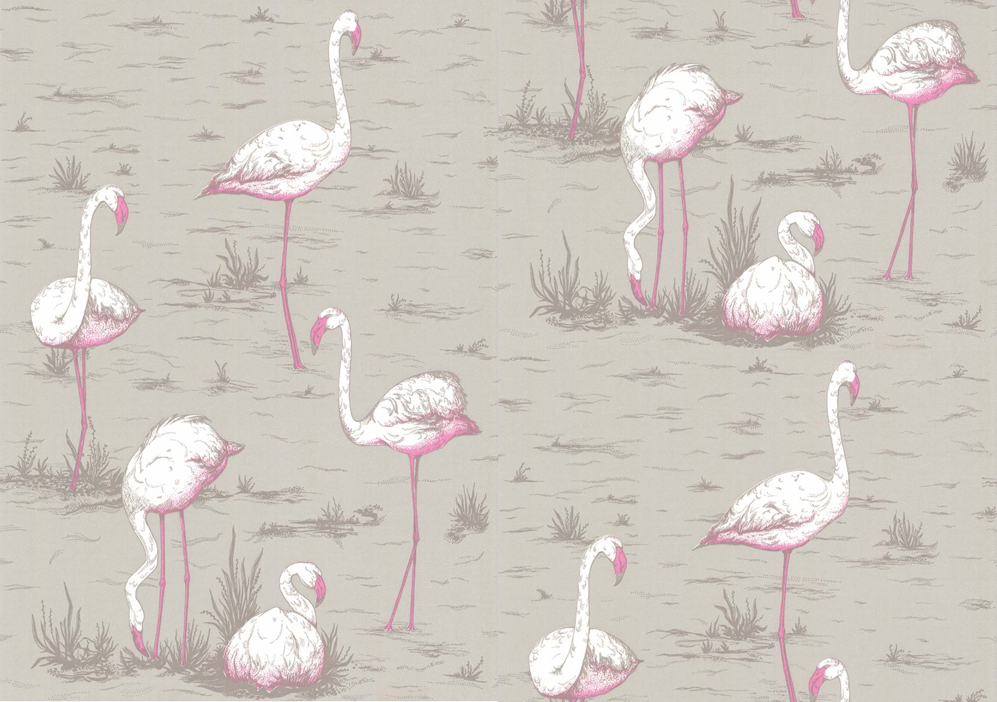 Flamingos - White & Fuchsia on Taupe