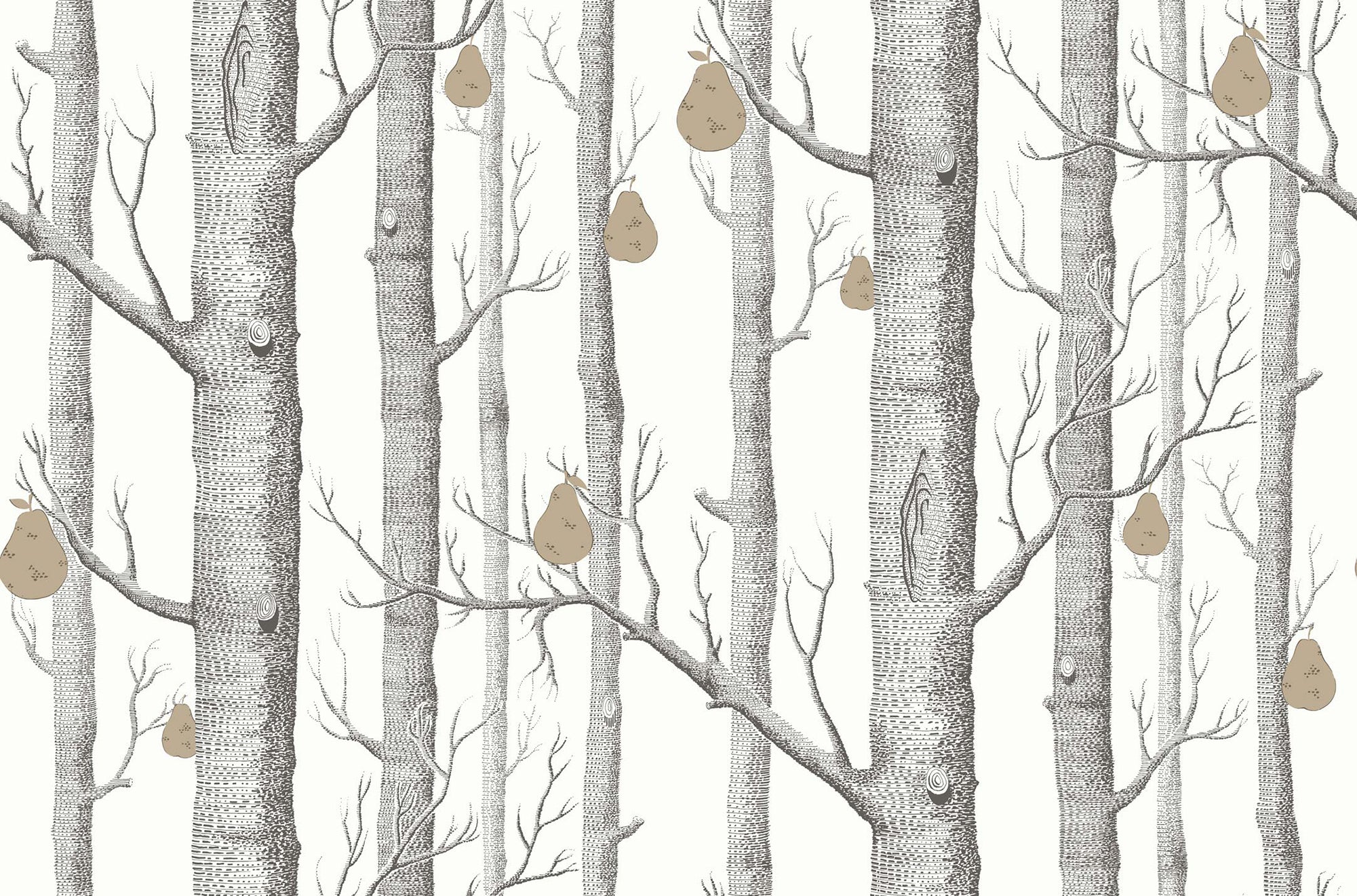 Woods & Pears - Charcoal & Metallic Bronze on Parchment