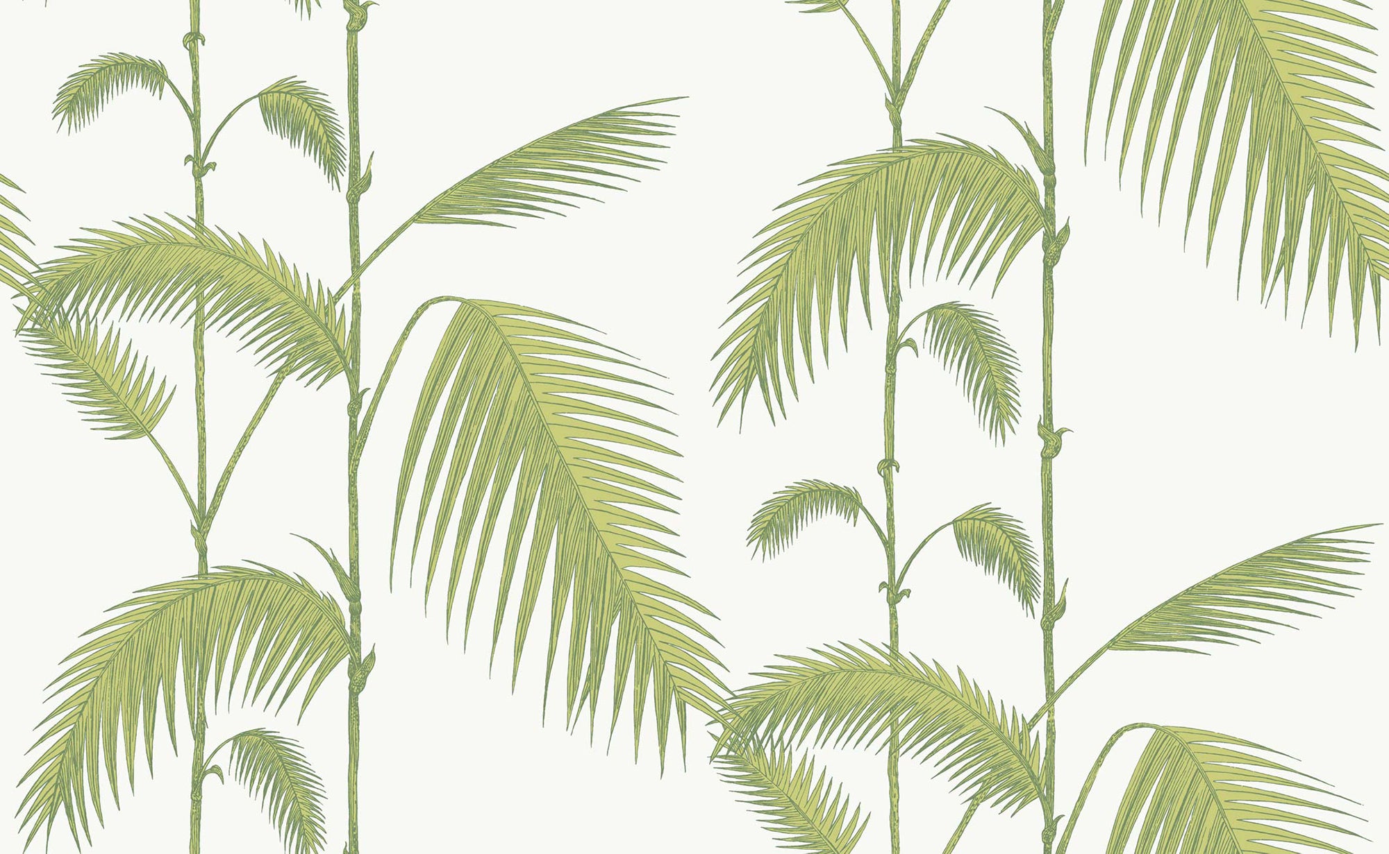 Palm Leaves - Olive Green on White
