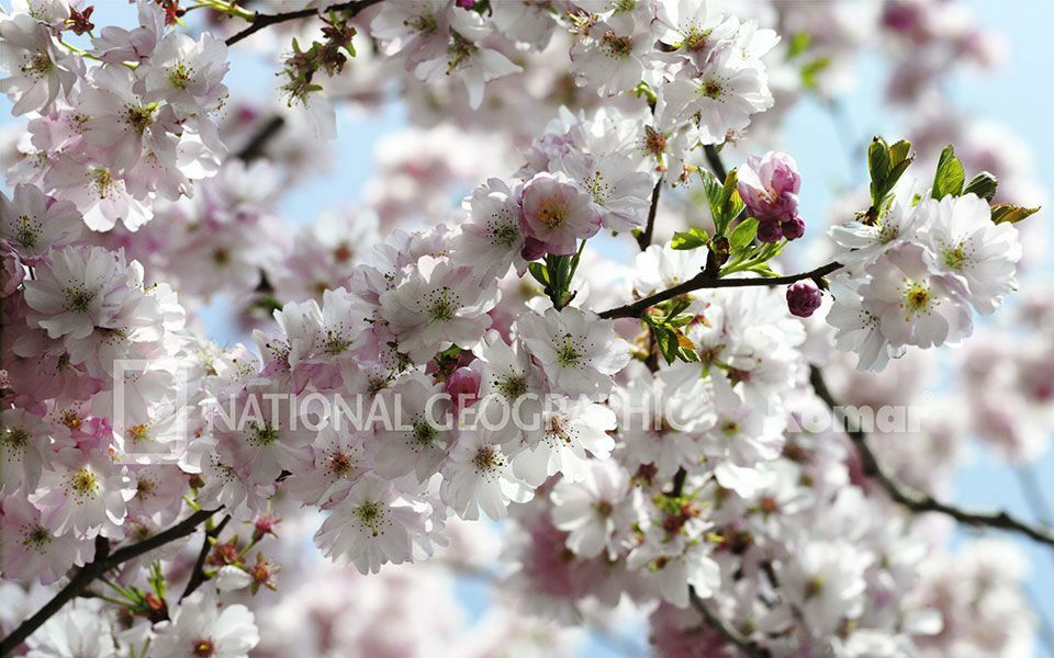 Spring 308-507