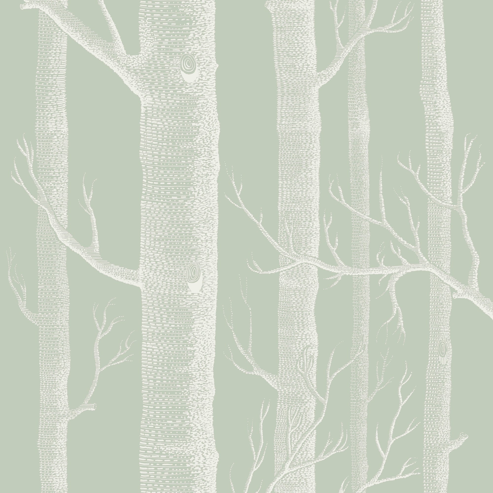 Woods - Soft Olive