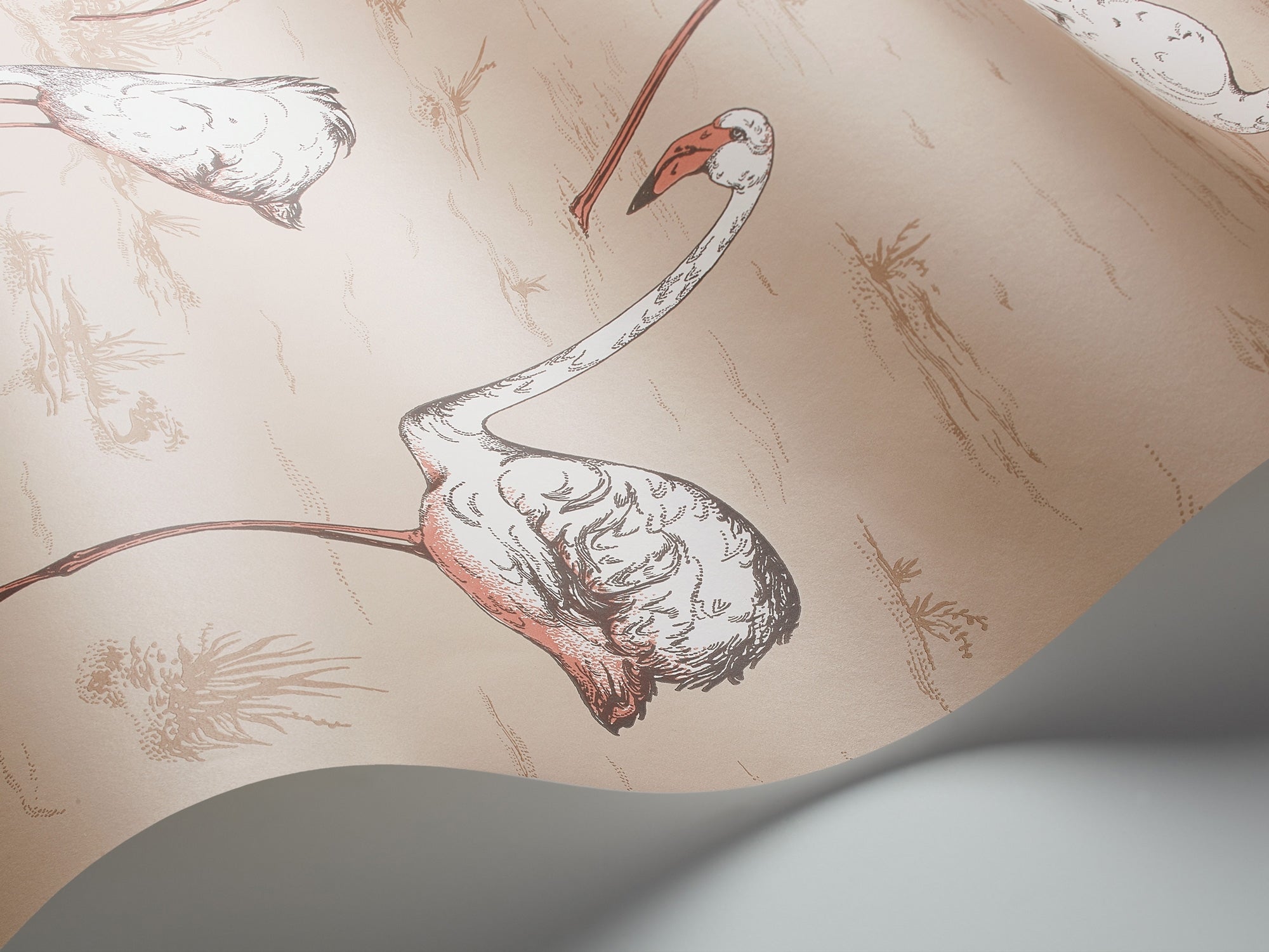Flamingos - Ballet Slipper