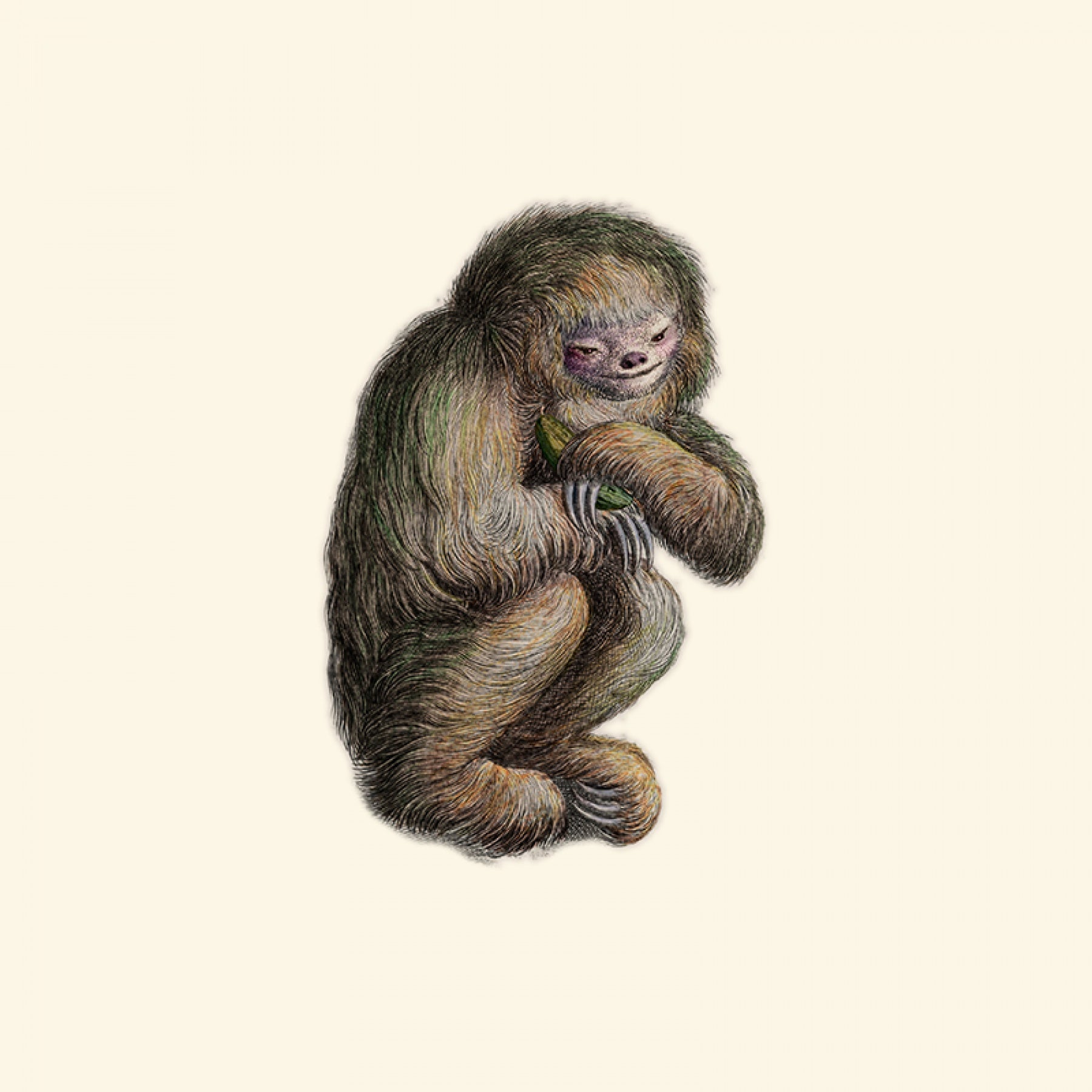Blushing Sloth - Moss