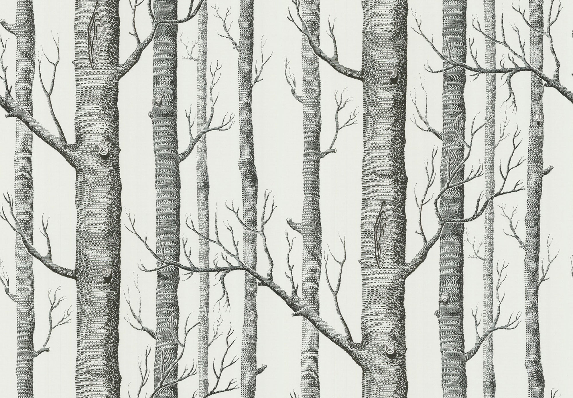 Woods - Black on White