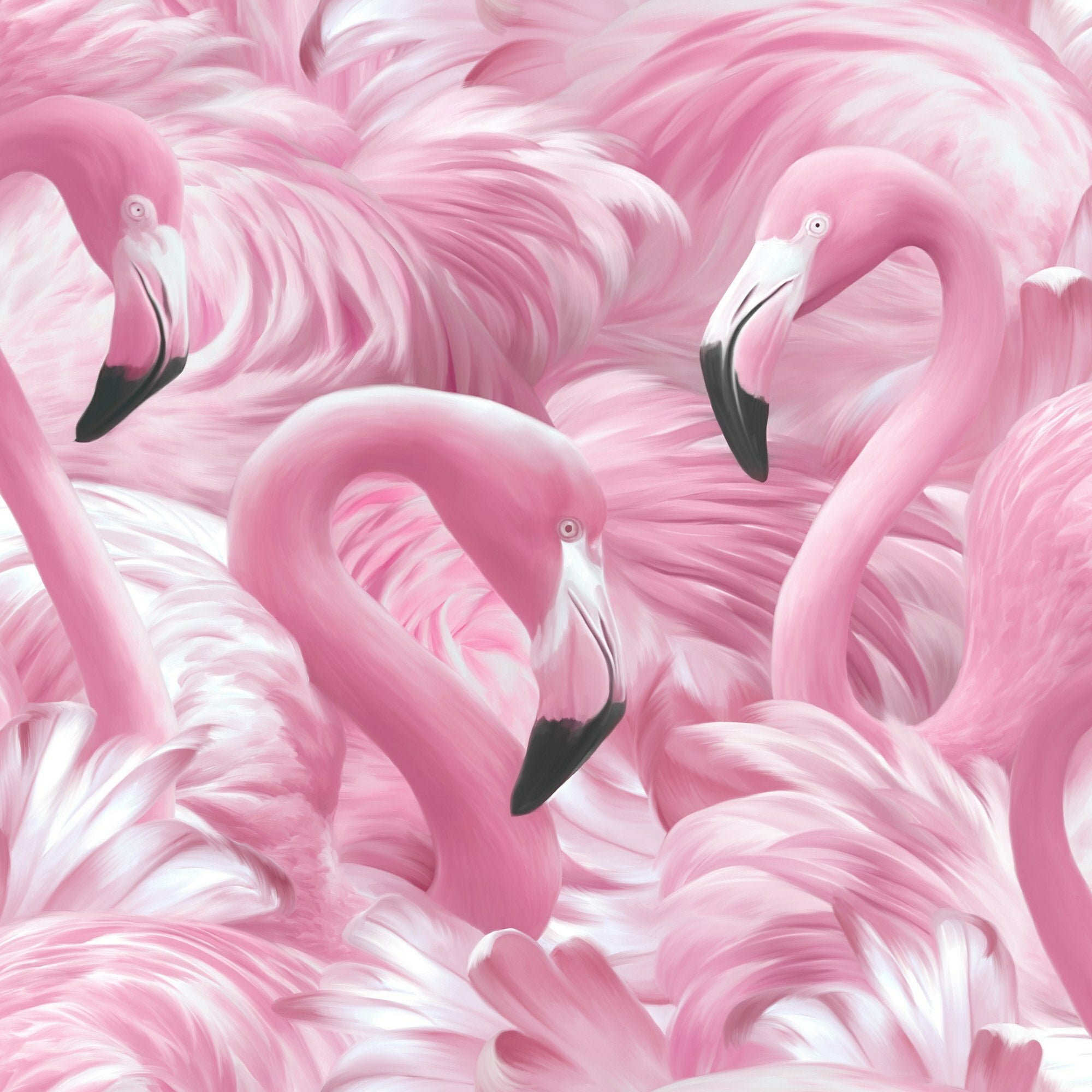 Flamingo tapet